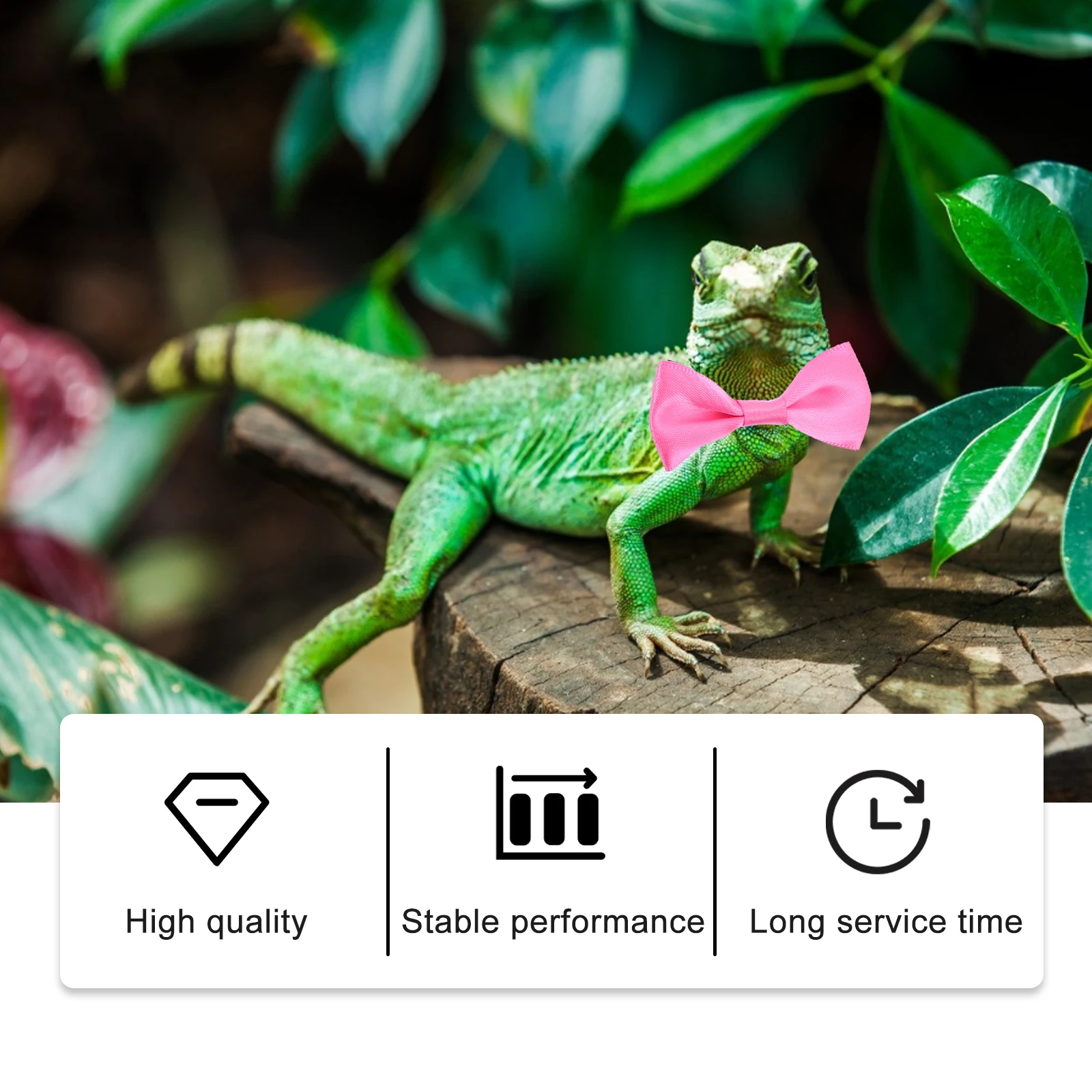 1 set Reptile Lizards Leash Hat Bowtie Set Valentine'S Day Costume Adjustable 30Cm Party Outfit For Lizard Pet Small Animals 
1 set Reptile Lizards Leash Hat Bowtie Set Valentine'S Day Costume Adjustable 30Cm Party Outfit For Lizard Pet Small Animals