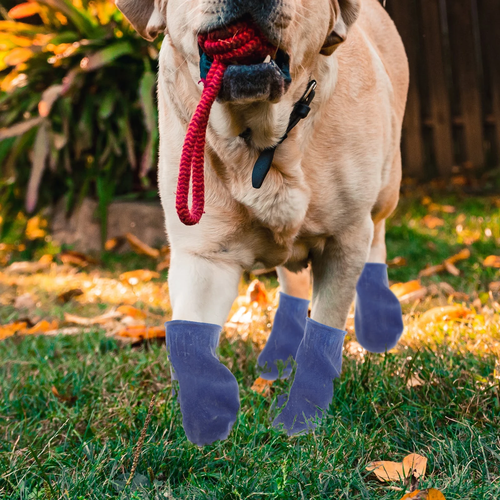 4Pcs Waterproof Dog Shoes Anti-Slip Durable Outdoor Boots Protect Paws from Stones Sand Snow Orange Size S Pet Shoes
4Pcs Waterproof Dog Shoes Anti-Slip Durable Outdoor Boots Protect Paws from Stones Sand Snow Orange Size S Pet Shoes