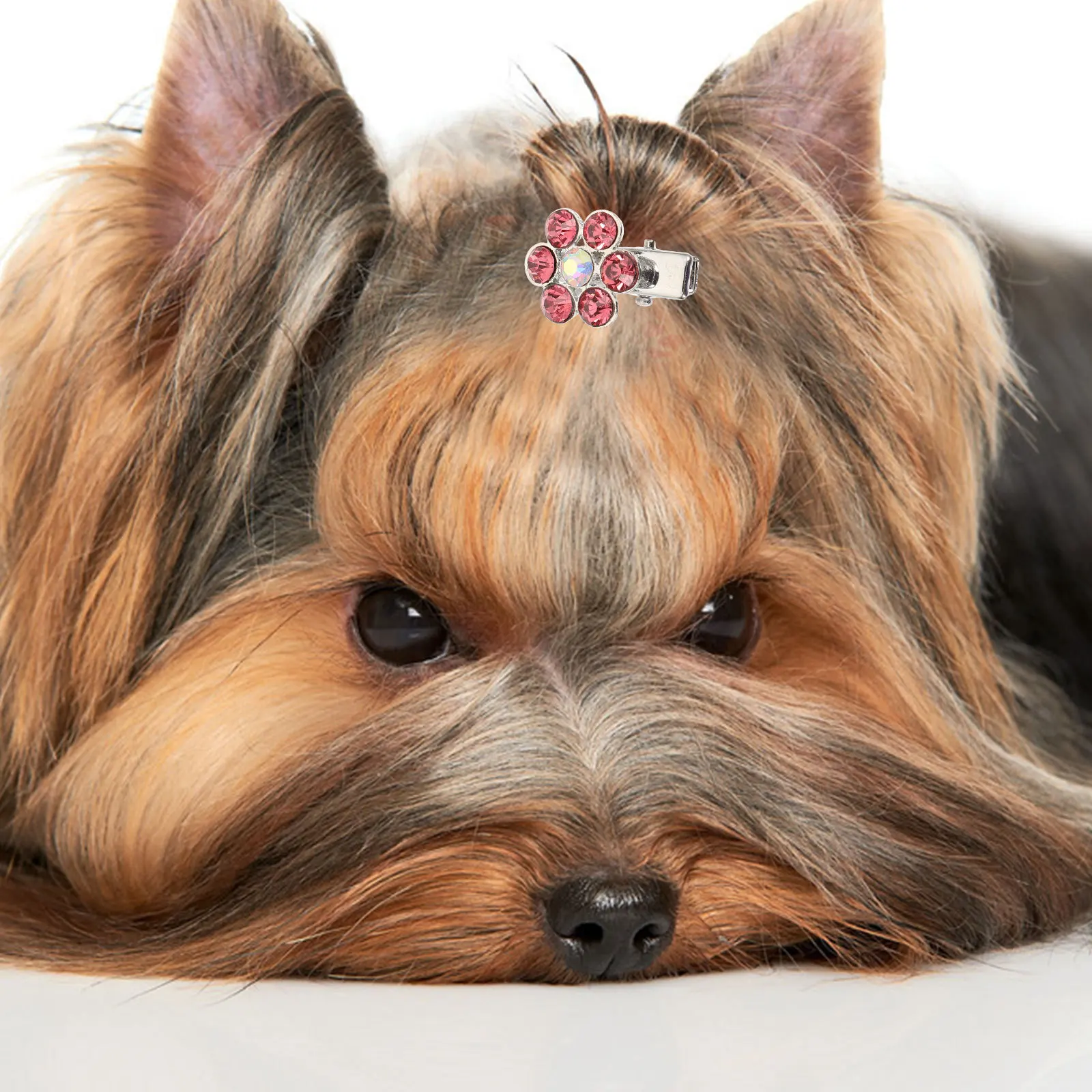 2Pcs Pet Hairpins Crystal Decorative Dog Cat Accessories Exquisite Workmanship Flower Shaped Design Daily Wear Big Events Gift
2Pcs Pet Hairpins Crystal Decorative Dog Cat Accessories Exquisite Workmanship Flower Shaped Design Daily Wear Big Events Gift