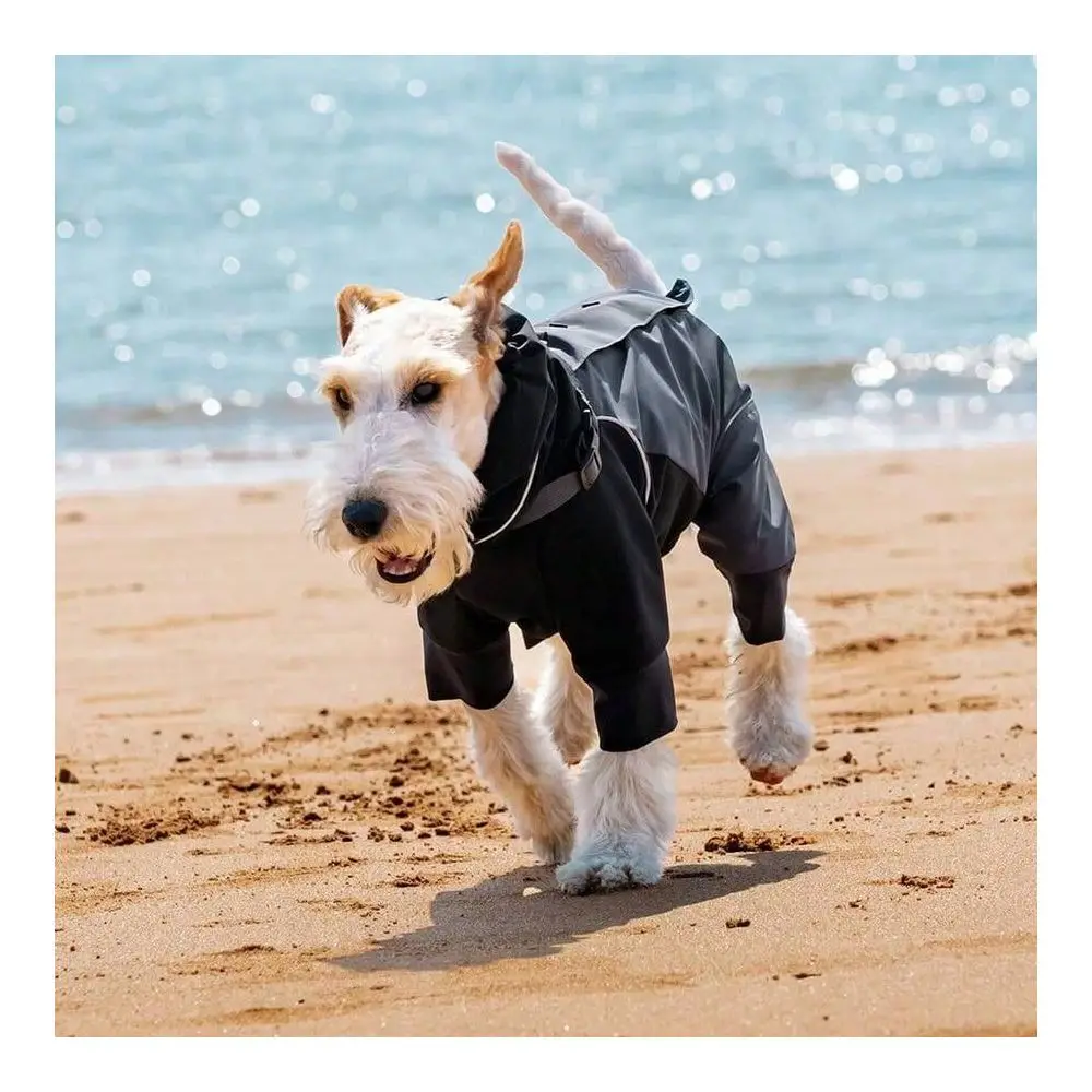 Quality Pet Raincoat, Reflective Adjustable Collar With Leash Hole, Suitable Medium Small Dogs, Waterproof Outdoor Walking Spor
Quality Pet Raincoat, Reflective Adjustable Collar With Leash Hole, Suitable Medium Small Dogs, Waterproof Outdoor Walking Spor