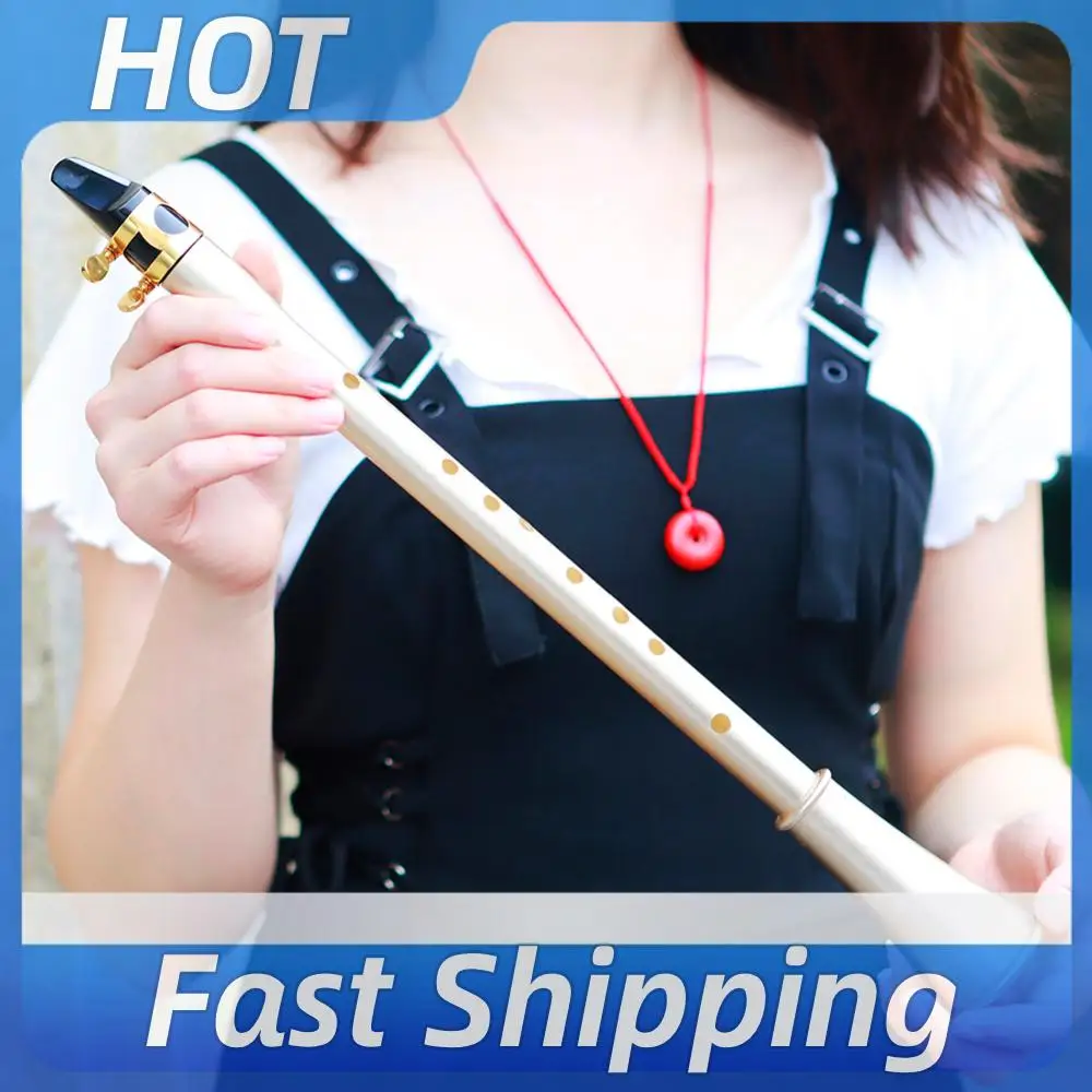 Portable Saxophone Woodwind Instrument Easy To Learn Mini Pocket Saxophone Clarinet Musical Instrument for Beginners Practice
Portable Saxophone Woodwind Instrument Easy To Learn Mini Pocket Saxophone Clarinet Musical Instrument for Beginners Practice
