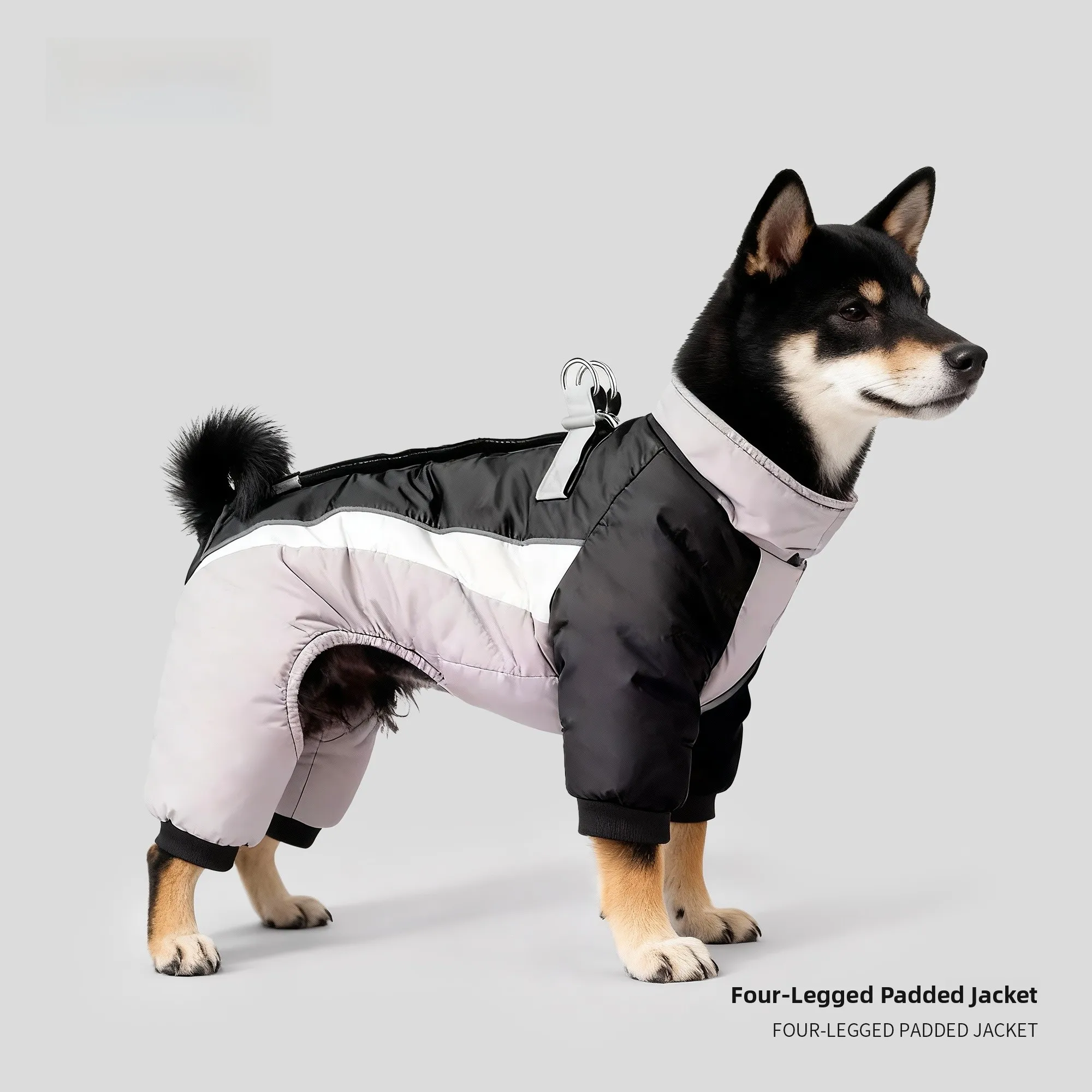 Warm Waterproof Four-Legged Dog Clothes for Small to Medium Size Dogs Winter Coat Snow Retriever West Highland Cotton Jaet
Warm Waterproof Four-Legged Dog Clothes for Small to Medium Size Dogs Winter Coat Snow Retriever West Highland Cotton Jaet