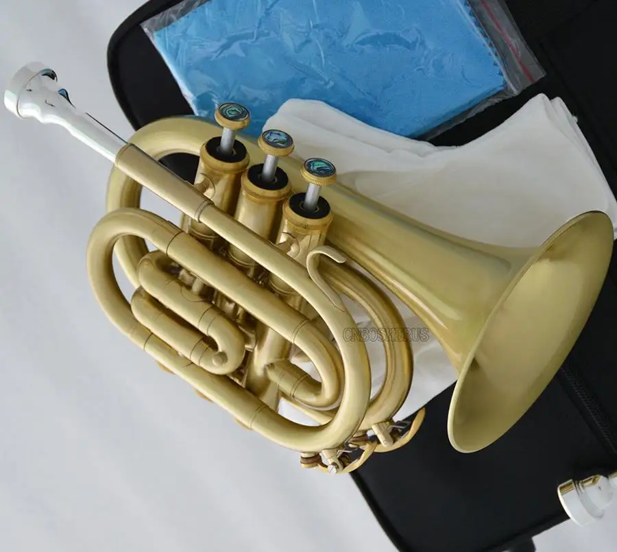 Brushed Brass Pocket Trumpet B-flat Horn Large Bell With 2 Mouthpiece Case
Brushed Brass Pocket Trumpet B-flat Horn Large Bell With 2 Mouthpiece Case