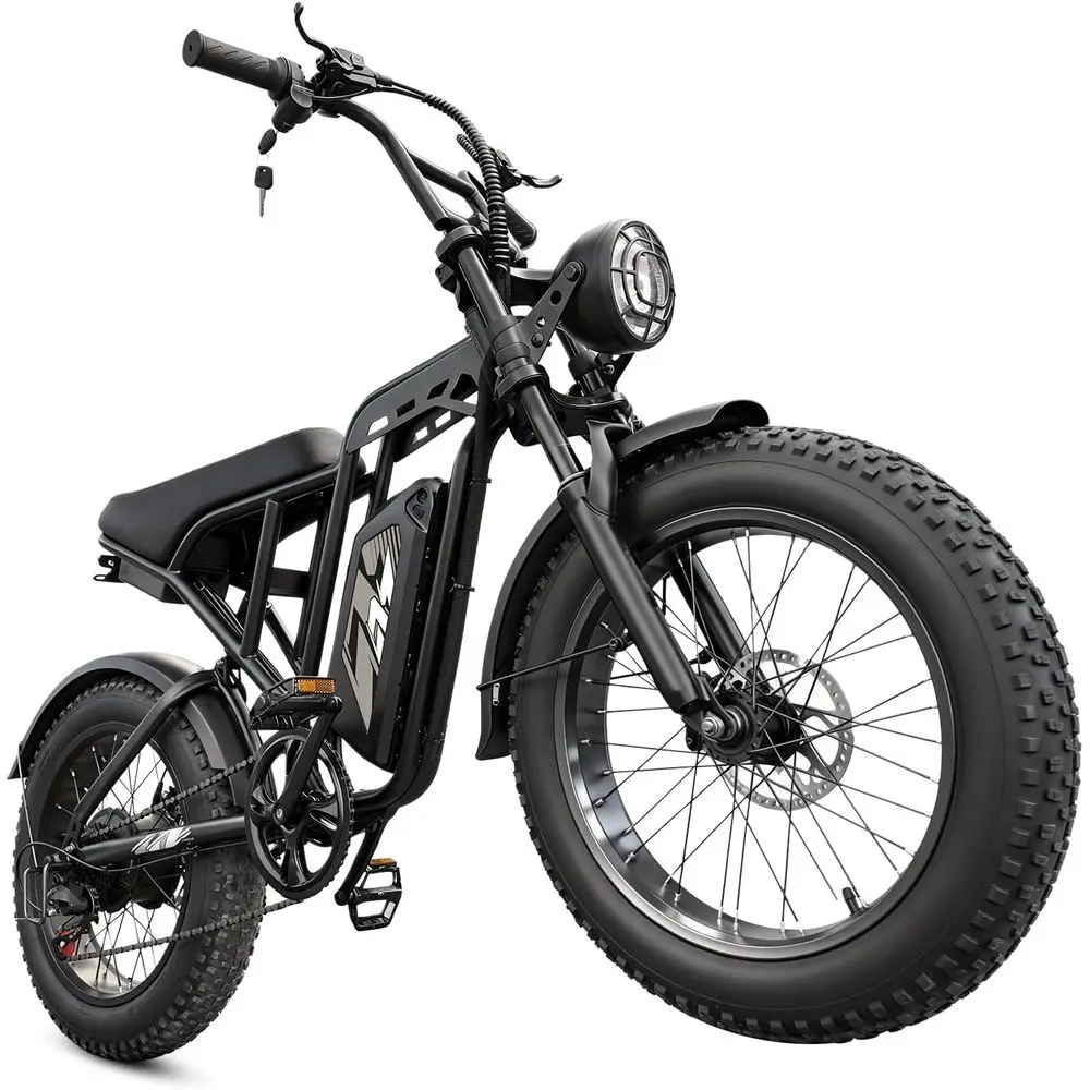 1500W Peak 20x4 Tire Electric Bike, 28 MPH, 60-100 Miles Range, 48V 15Ah Removable Battery, Dual Suspension All-Terrain E-Bike f
1500W Peak 20x4 Tire Electric Bike, 28 MPH, 60-100 Miles Range, 48V 15Ah Removable Battery, Dual Suspension All-Terrain E-Bike f