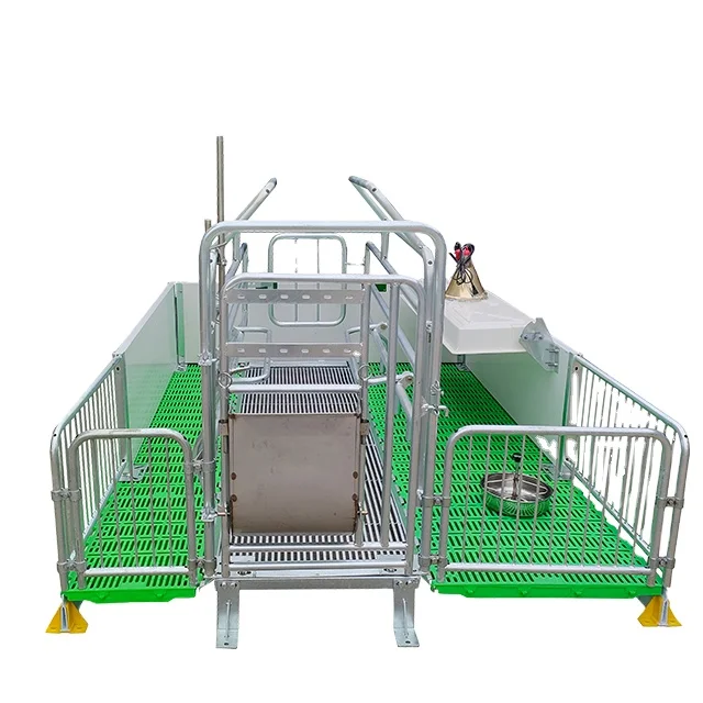 Customized Double Sow Galvanized Steel Nursery Pen New Used Pig Farming Maternity Cage Automatic Features Jaula Para Cerdo
Customized Double Sow Galvanized Steel Nursery Pen New Used Pig Farming Maternity Cage Automatic Features Jaula Para Cerdo