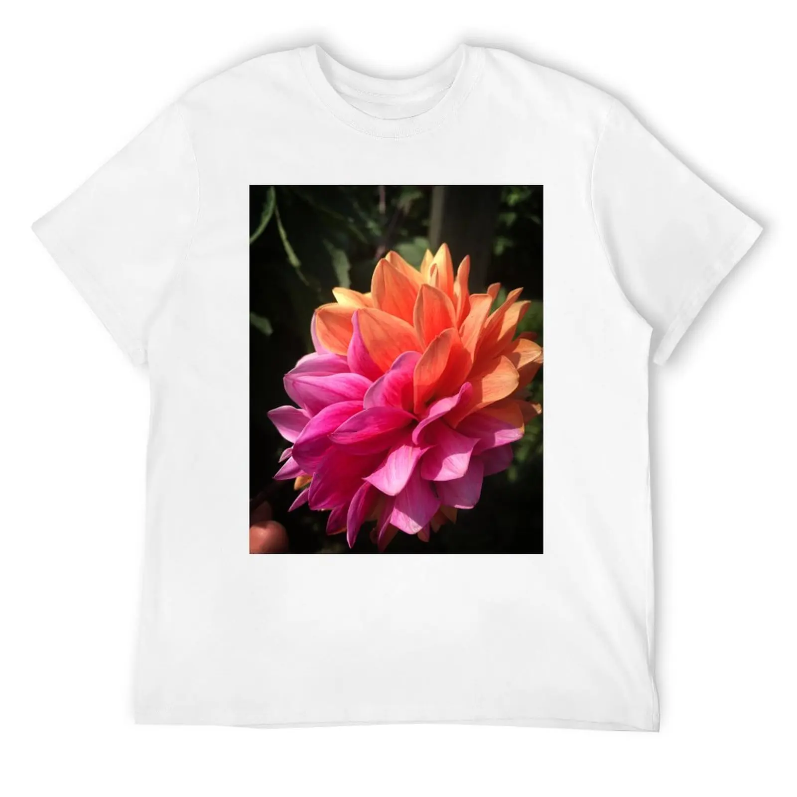Rare Half Pink Half Orange Dahlia Flower side profile 036 T-Shirt tops cotton man t-shirts mens white t shirts
Rare Half Pink Half Orange Dahlia Flower side profile 036 T-Shirt tops cotton man t-shirts mens white t shirts