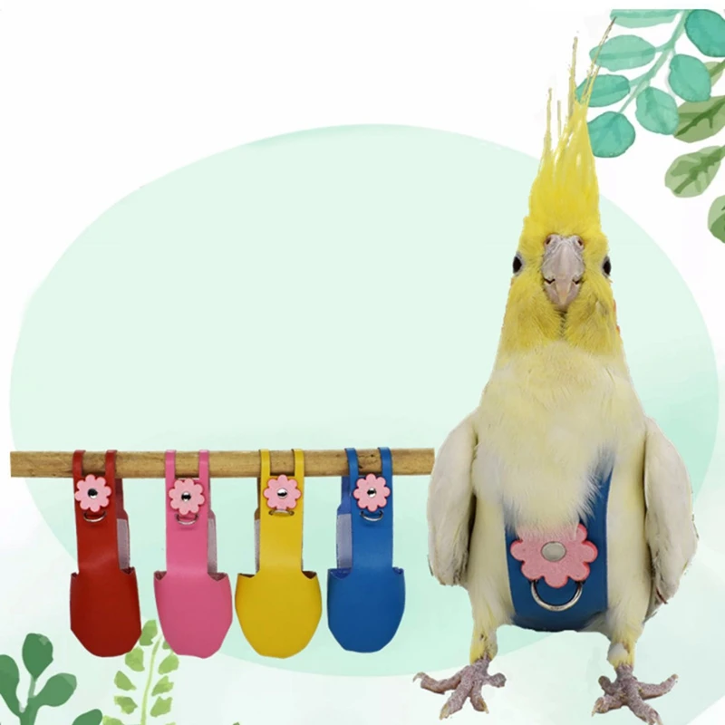 XFDE Red Bird Parrot Velvet Leather Diaper with Leash Harness Rope Cockatiel Pigeons Flight Suit Clothes Feces Pocket
XFDE Red Bird Parrot Velvet Leather Diaper with Leash Harness Rope Cockatiel Pigeons Flight Suit Clothes Feces Pocket