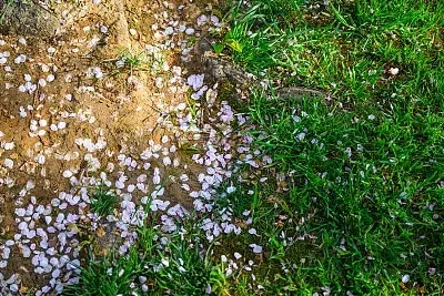 Передний рулевой механизм для радиоуправляемой машины Hyper GO MJX 1/10 10303 10304, металлические улучшенные детали и аксессуары
Передний рулевой механизм для радиоуправляемой машины Hyper GO MJX 1/10 10303 10304, металлические улучшенные детали и аксессуары