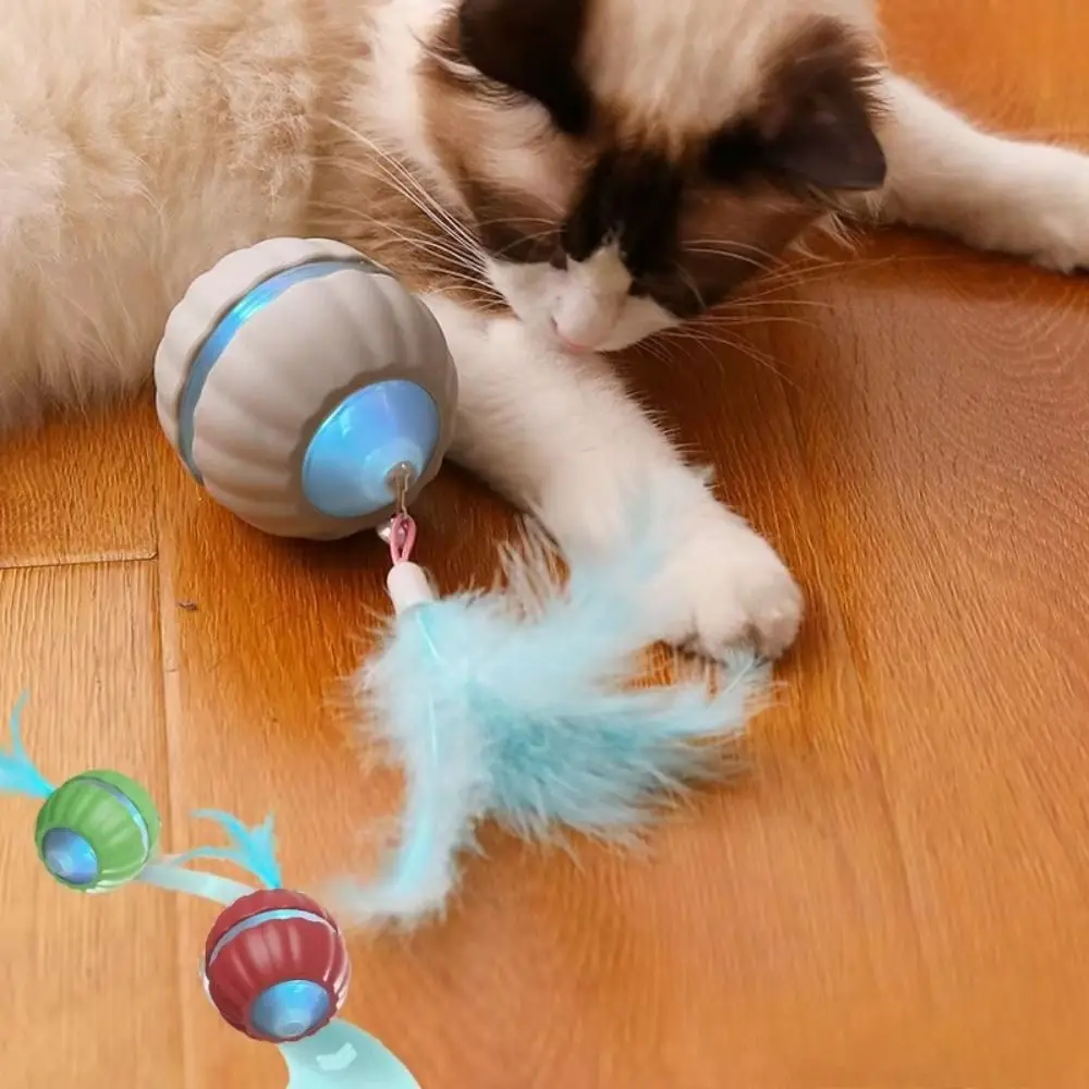 2 Tails Cat Interactive Ball Toy Soft Light Obstacle Avoidance Intelligent Cat Toy Ball Replaceable Automatic Teasing
2 Tails Cat Interactive Ball Toy Soft Light Obstacle Avoidance Intelligent Cat Toy Ball Replaceable Automatic Teasing