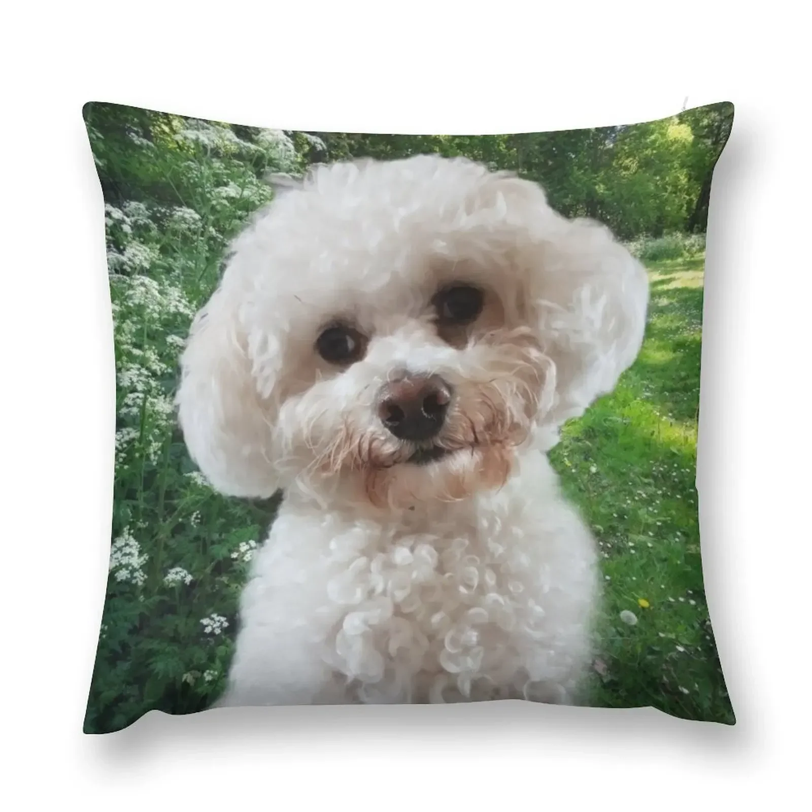 Cavachon Throw Pillow Cushions For Decorative Sofa Sofas Covers Luxury Sofa Cushions pillow
Cavachon Throw Pillow Cushions For Decorative Sofa Sofas Covers Luxury Sofa Cushions pillow
