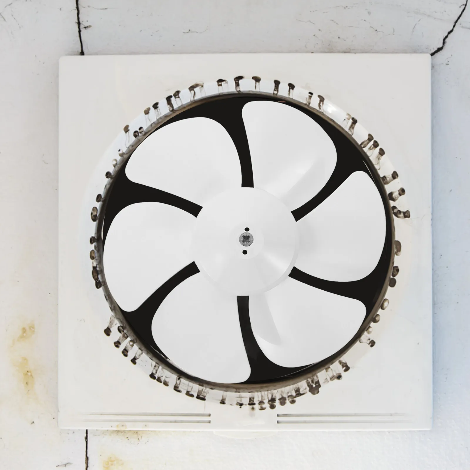 Six Blades Fan Replacement for Table Standing Pedestal Fans Long Lasting Sturdy Low Noise Accessory Fan
Six Blades Fan Replacement for Table Standing Pedestal Fans Long Lasting Sturdy Low Noise Accessory Fan