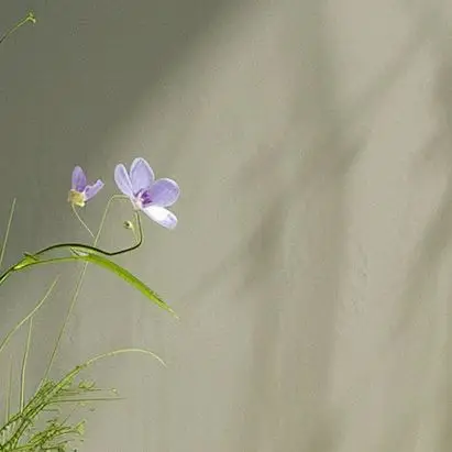 for Clocks Mice Computers Toys So on AAA 1.5V 3000mAh MJ Rechargeable NI-MH Battery
for Clocks Mice Computers Toys So on AAA 1.5V 3000mAh MJ Rechargeable NI-MH Battery