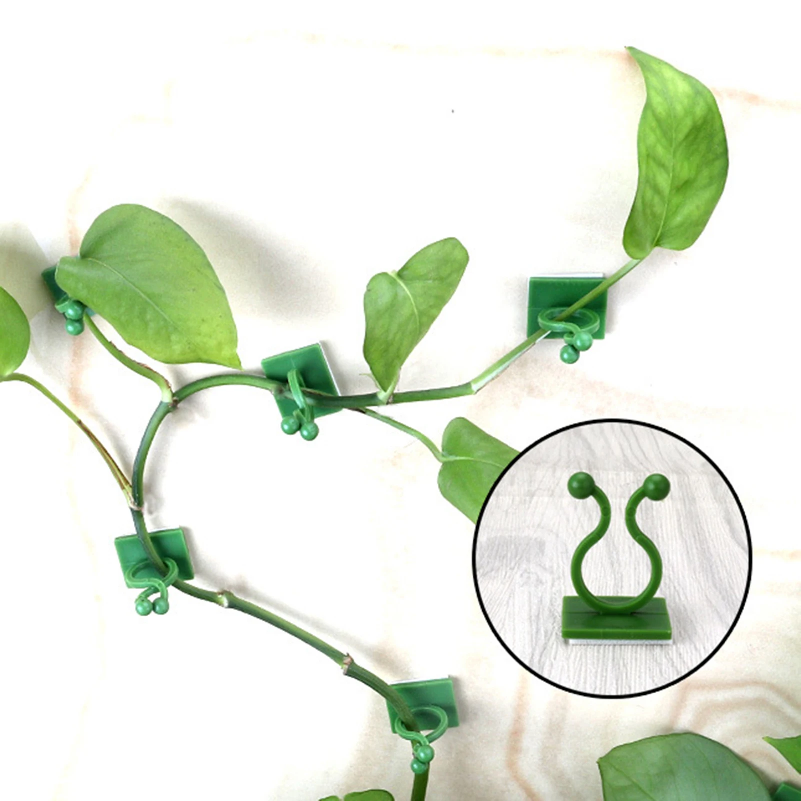 Plant Support Clips For Vine Plants Durable PP Plastic Adjustable Design Easy Installation Gardening Tool
Plant Support Clips For Vine Plants Durable PP Plastic Adjustable Design Easy Installation Gardening Tool