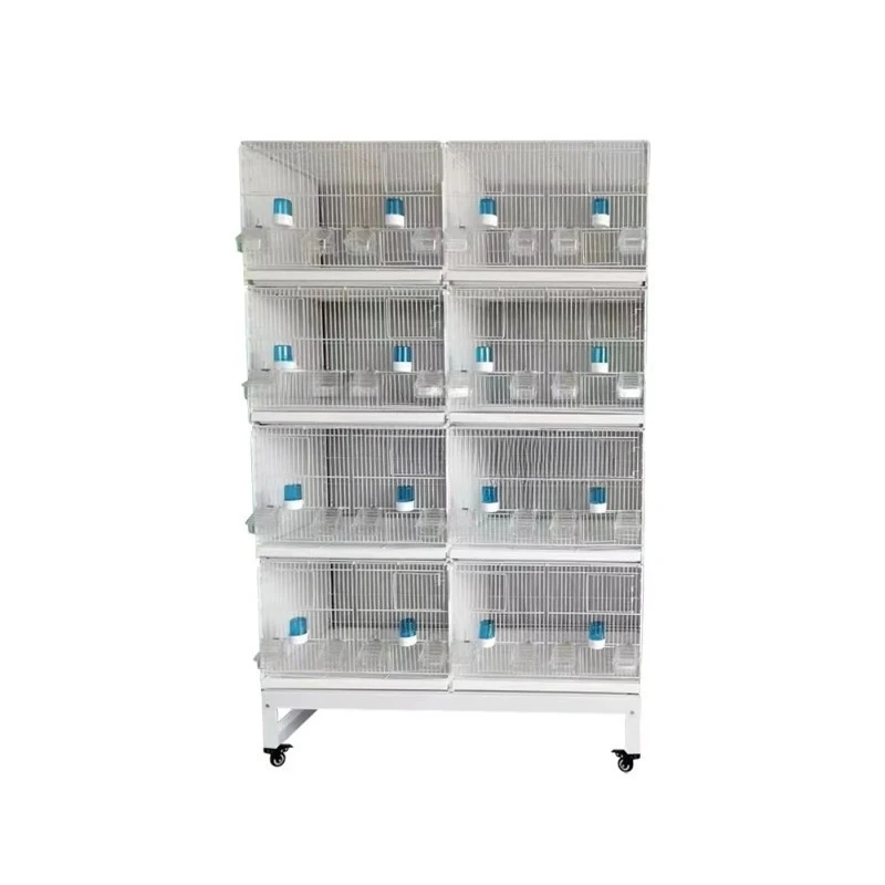 Large Parrot Bird Cage for Small Parrot Cockatiel Budgie Finch Lovebird Canary Pet Bird Cage
Large Parrot Bird Cage for Small Parrot Cockatiel Budgie Finch Lovebird Canary Pet Bird Cage