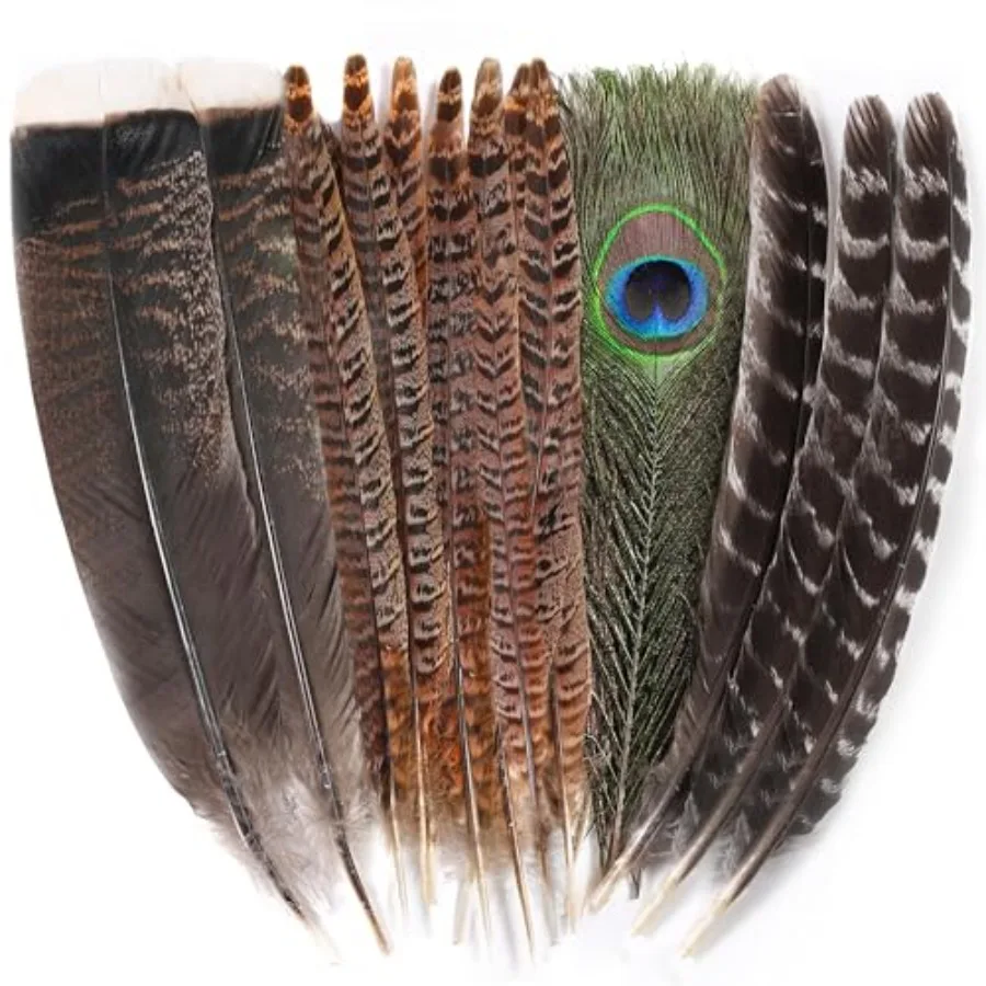 Ballinger Large Natural Pheasant Feathers - 8-12inch 4 Styles 15Pcs Assorted Craft Feathers Bulk, Peacock Pheasant Turkey Feath
Ballinger Large Natural Pheasant Feathers - 8-12inch 4 Styles 15Pcs Assorted Craft Feathers Bulk, Peacock Pheasant Turkey Feath