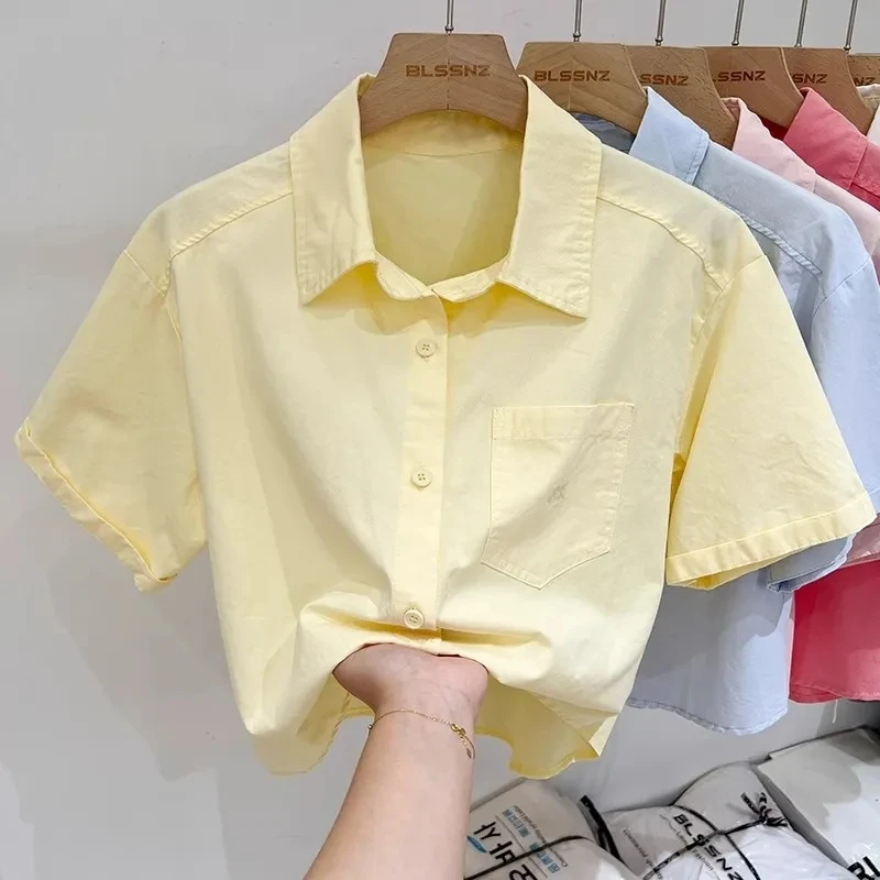 Summer Cotton Short Sleeve Tops Women 2025 New Polo Collars Short Shirt Embroidered Loose Casual Blouses
Summer Cotton Short Sleeve Tops Women 2025 New Polo Collars Short Shirt Embroidered Loose Casual Blouses