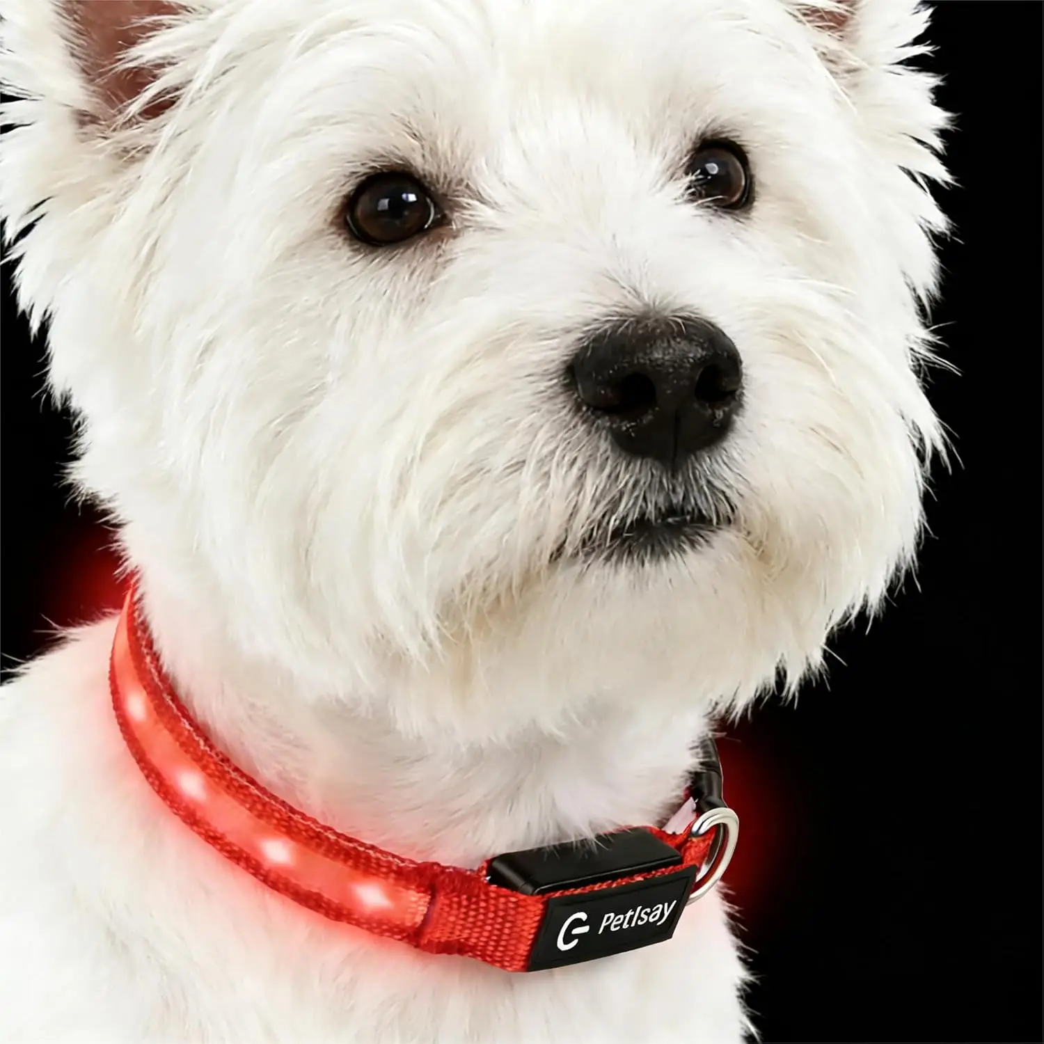USB-C Rechargeable LED Dog Collar, Waterproof Adjustable, 3 Modes for Night Safety, Red XS
USB-C Rechargeable LED Dog Collar, Waterproof Adjustable, 3 Modes for Night Safety, Red XS