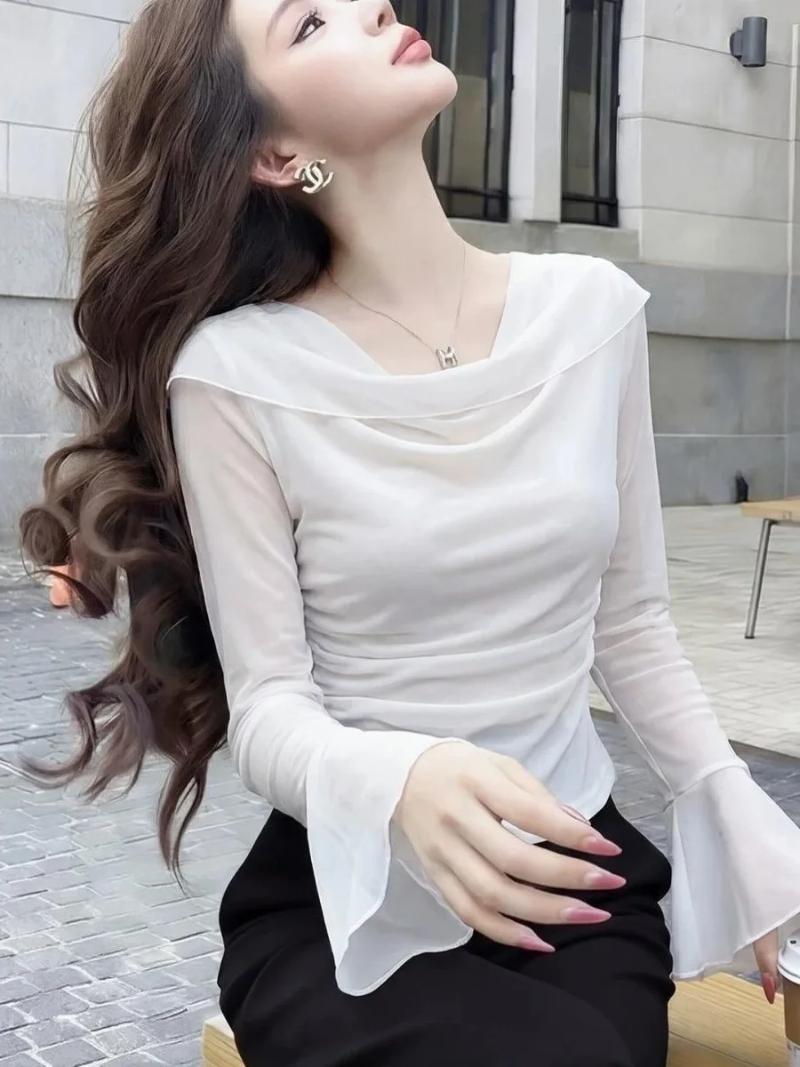 Elegant Fashionable Women's Base Layer Top Spring 2026 Mesh Splicing Pleated Slimming V-neck Long Sleeve Polyester Blend
Elegant Fashionable Women's Base Layer Top Spring 2026 Mesh Splicing Pleated Slimming V-neck Long Sleeve Polyester Blend