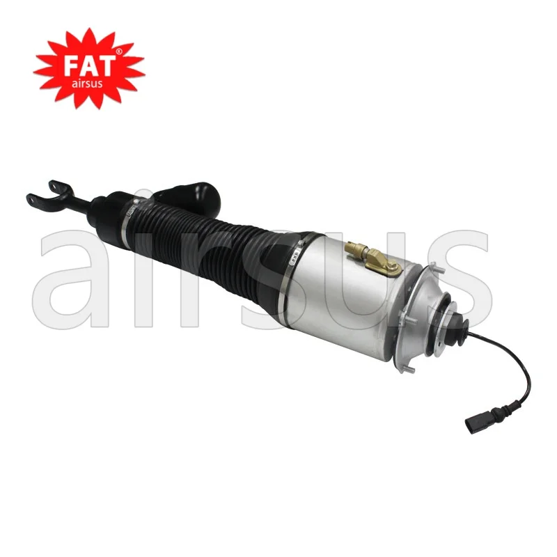 For Phaeton Bentley Front Right Shock 3W5616040B 3D0616040T 3D0616040 3D5616040 3D7616040 3D0616040L
For Phaeton Bentley Front Right Shock 3W5616040B 3D0616040T 3D0616040 3D5616040 3D7616040 3D0616040L