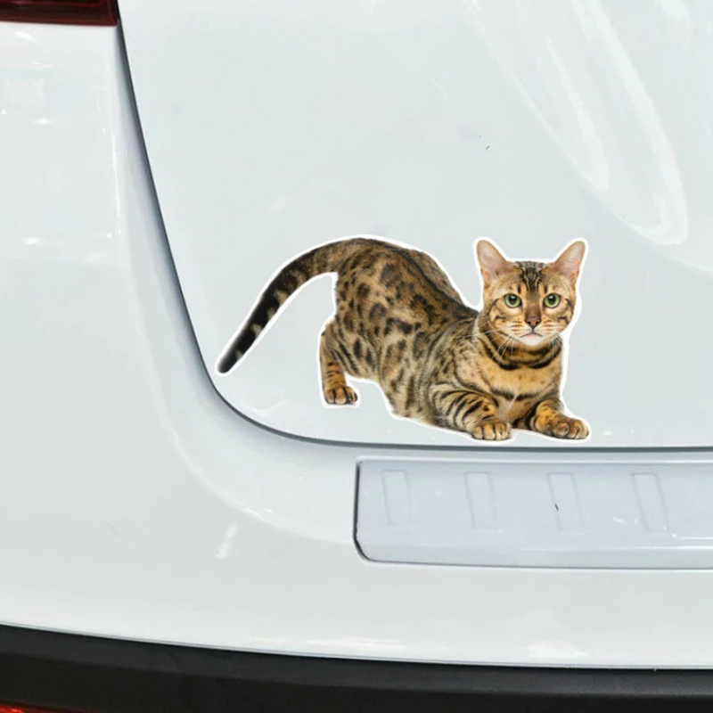 1pc Bengal Cat Waterproof Vinyl Sticker, Funny Pet Decal for Car & Motorcycle Exterior Decor
1pc Bengal Cat Waterproof Vinyl Sticker, Funny Pet Decal for Car & Motorcycle Exterior Decor