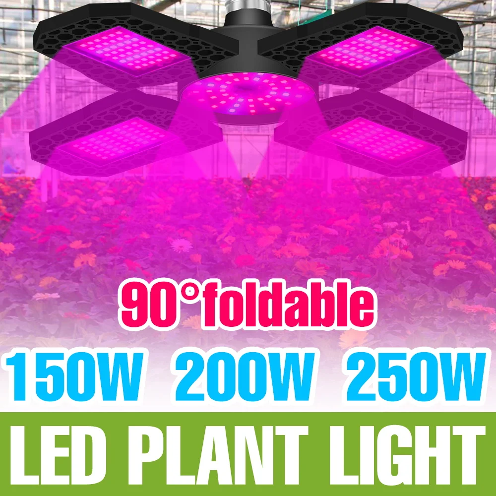 250W Full Spectrum LED Plant Lamp E27 Indoor Grow Light 220V Foldable Greenhouse Tent Hydroponic Vegs Fruit Cultivation Lighting
250W Full Spectrum LED Plant Lamp E27 Indoor Grow Light 220V Foldable Greenhouse Tent Hydroponic Vegs Fruit Cultivation Lighting