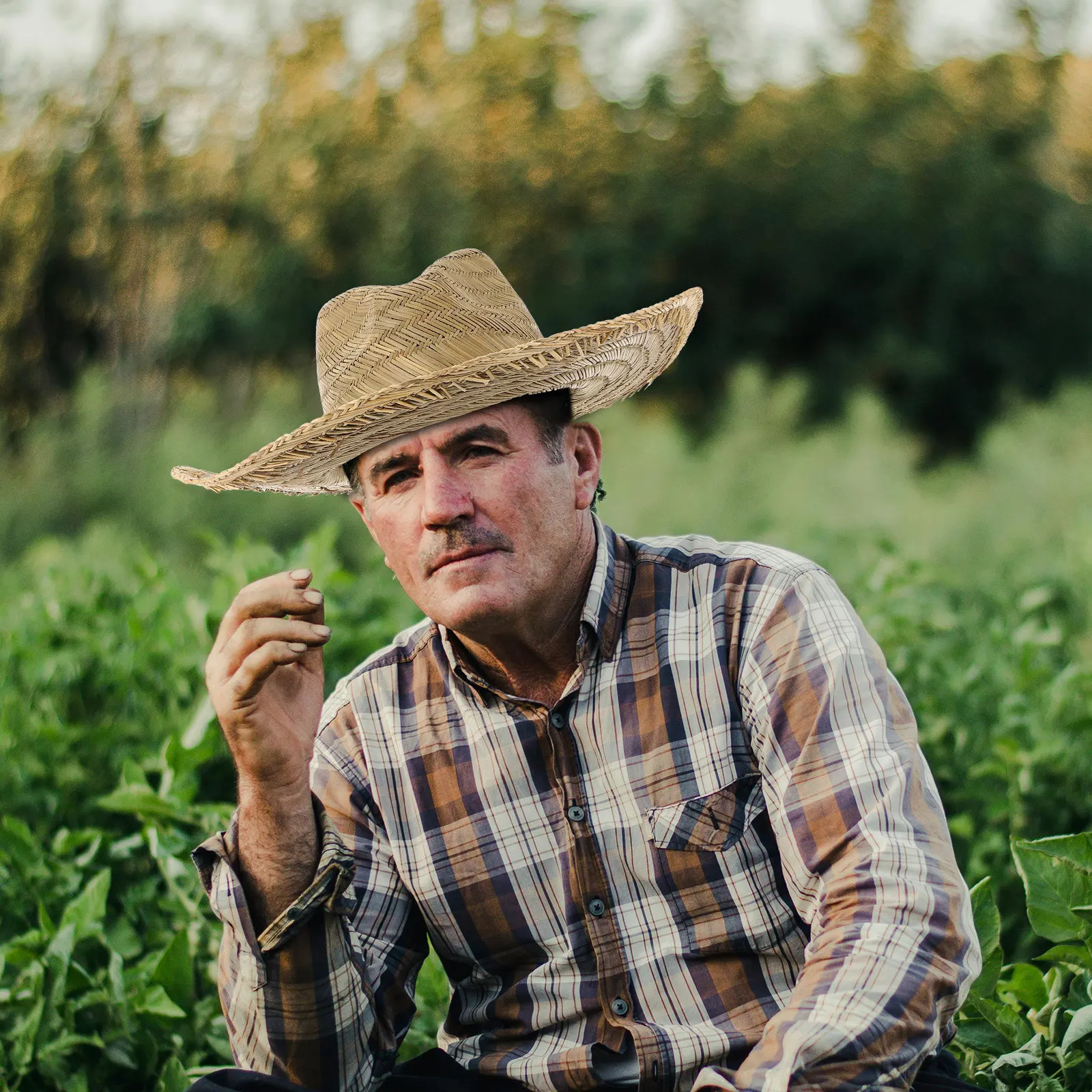 Мужская пляжная шляпа с широкими полями, летняя соломенная шляпа от солнца, защита от УФ-излучения, для активного отдыха, с отверстием для хвоста, для отпуска и сада
Мужская пляжная шляпа с широкими полями, летняя соломенная шляпа от солнца, защита от УФ-излучения, для активного отдыха, с отверстием для хвоста, для отпуска и сада