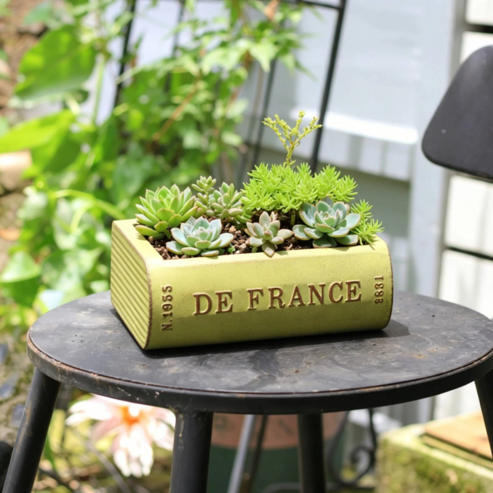 Metal Planter Drainage Hole Book-Shaped Planter Plant Pot Textured Home Decor
Metal Planter Drainage Hole Book-Shaped Planter Plant Pot Textured Home Decor