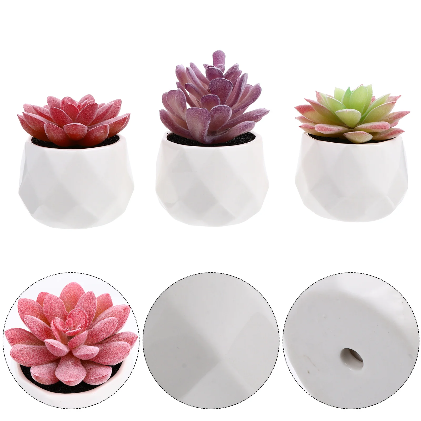 3 pcs Mini Simulation Succulent Potted Plants Decor For Garden Balcony Office Plastic Artificial Bonsai
3 pcs Mini Simulation Succulent Potted Plants Decor For Garden Balcony Office Plastic Artificial Bonsai