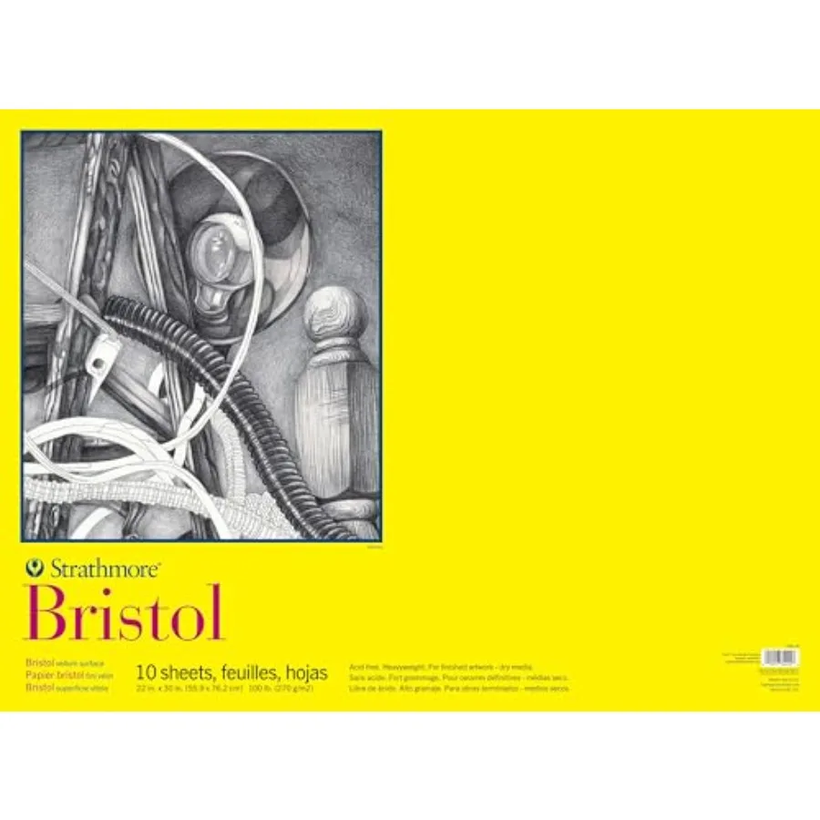 300 Series Bristol Vellum Pad for Artists and Students 22 x 30 inches 10 Sheets for Drawing Sketching and Printing
300 Series Bristol Vellum Pad for Artists and Students 22 x 30 inches 10 Sheets for Drawing Sketching and Printing