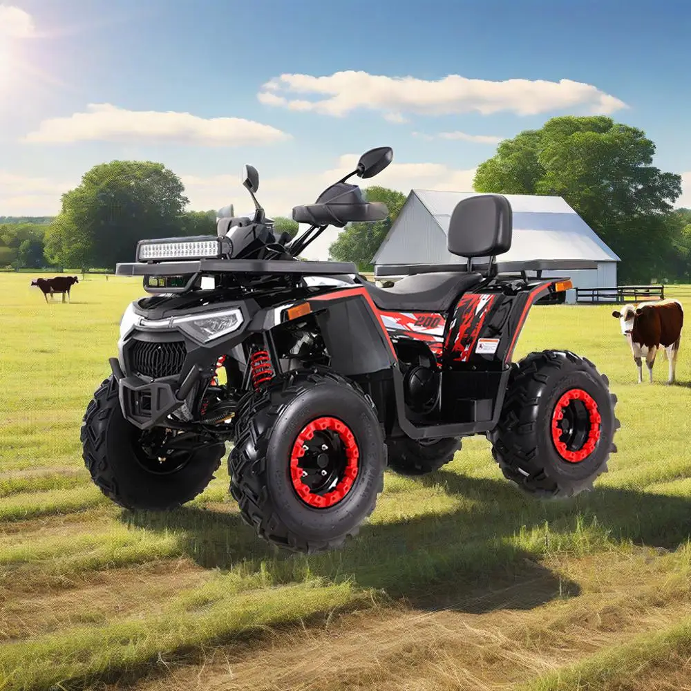 Tao Motor Chinese Wholesale Farm Use 4 Wheeler Automatic Four Wheeler 4x2 Cuatrimoto Quadriciclo Gas Quad Bike Adult 200cc ATV
Tao Motor Chinese Wholesale Farm Use 4 Wheeler Automatic Four Wheeler 4x2 Cuatrimoto Quadriciclo Gas Quad Bike Adult 200cc ATV