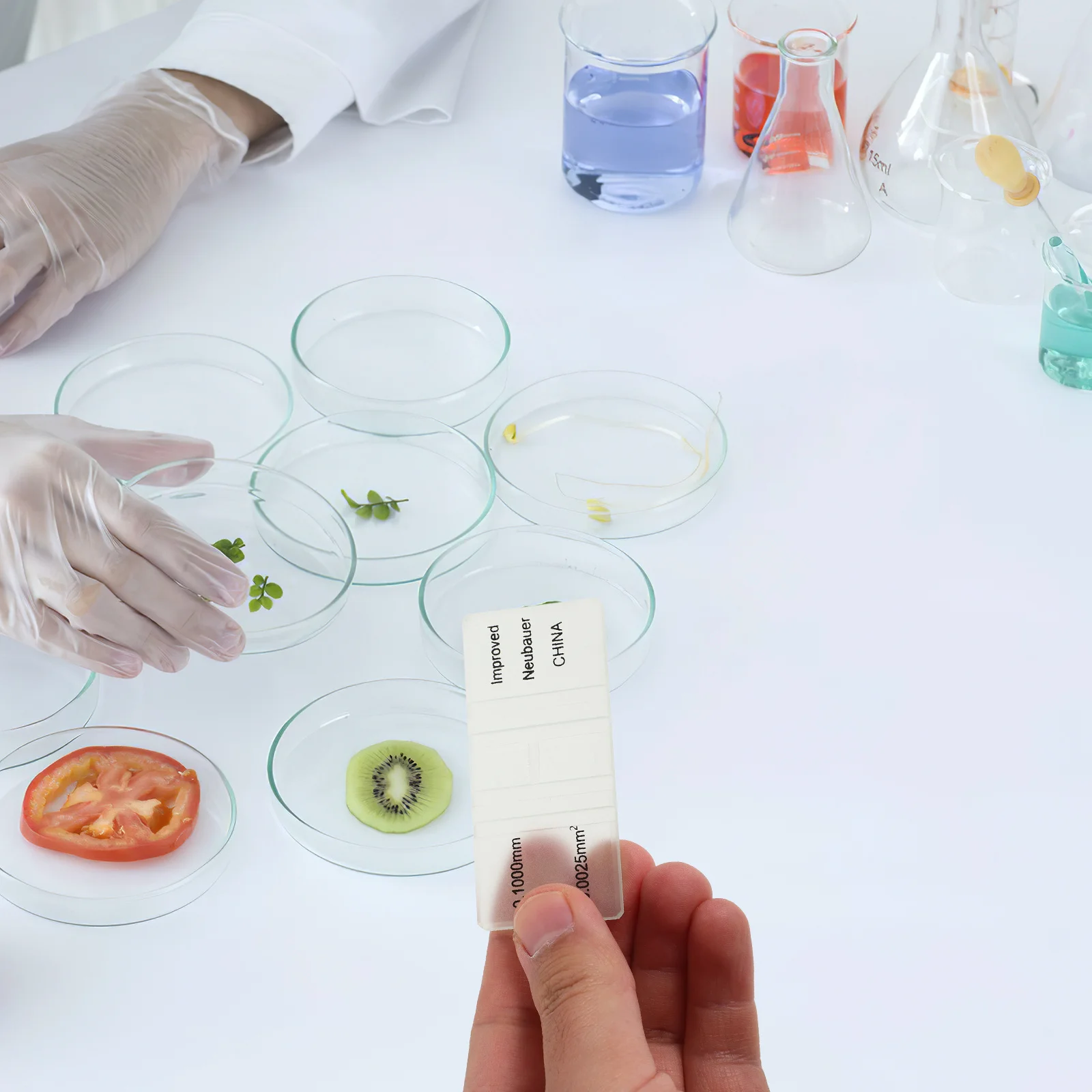 Hemocytometer Blood Counting Chamber Glass Material Durable Reliable Accurate Counting Microscopic Observation Laboratory Use
Hemocytometer Blood Counting Chamber Glass Material Durable Reliable Accurate Counting Microscopic Observation Laboratory Use