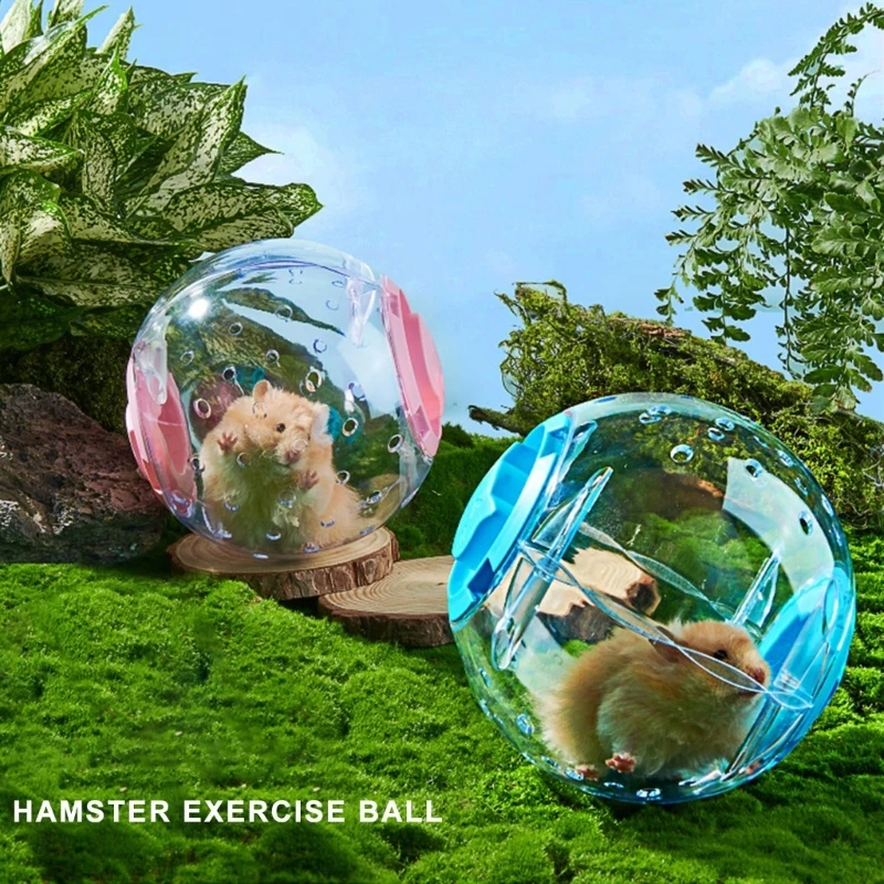Hamster Running Sphere Exercise Toy for Hamsters Gerbils 5.5" Exercise Sphere Relieves Boredom and Increases Activity
Hamster Running Sphere Exercise Toy for Hamsters Gerbils 5.5" Exercise Sphere Relieves Boredom and Increases Activity