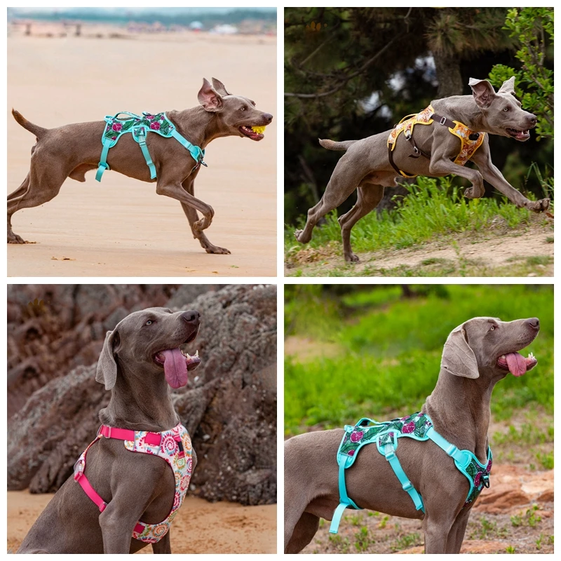 Dog Explosion-proof Vest Harness Outdoor Walking Breathable Reflective Adjustable Harness For Medium Large Dog Pet Supplies S~XL
Dog Explosion-proof Vest Harness Outdoor Walking Breathable Reflective Adjustable Harness For Medium Large Dog Pet Supplies S~XL