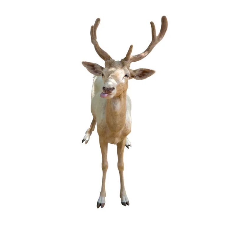 Excellent-RC Car Upgrade Steering Set Kit For Tamiya M05 M06 , M-05Pro , M-06Pro RC Car Upgrade Accessories
Excellent-RC Car Upgrade Steering Set Kit For Tamiya M05 M06 , M-05Pro , M-06Pro RC Car Upgrade Accessories