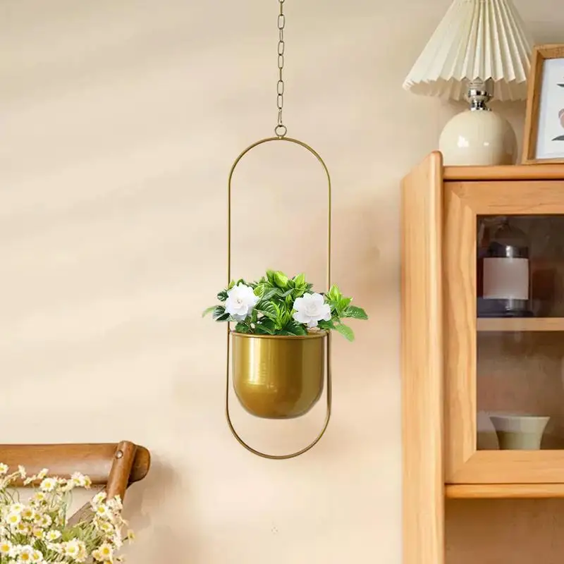 Ceiling Planter Hangable Pot for Indoor Plants Metal Chlorophytum Succulent Planter Decorative Ornament for Home Balcony
Ceiling Planter Hangable Pot for Indoor Plants Metal Chlorophytum Succulent Planter Decorative Ornament for Home Balcony