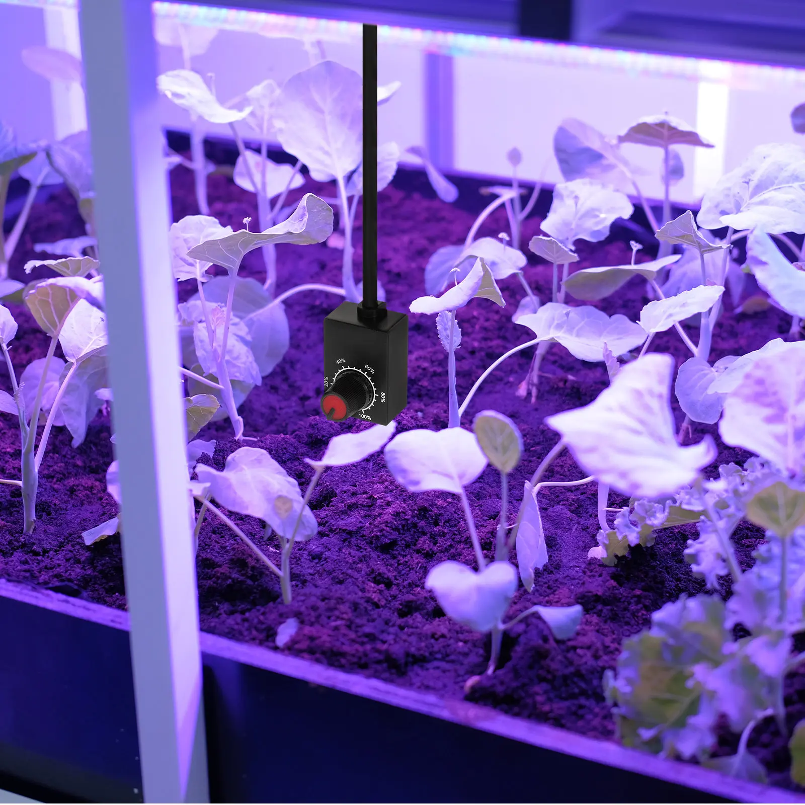 Поворотный LED-диммер-контроллер для растений, мини-регулятор яркости, диммируемый драйвер для светодиодов, для внутреннего освещения
Поворотный LED-диммер-контроллер для растений, мини-регулятор яркости, диммируемый драйвер для светодиодов, для внутреннего освещения