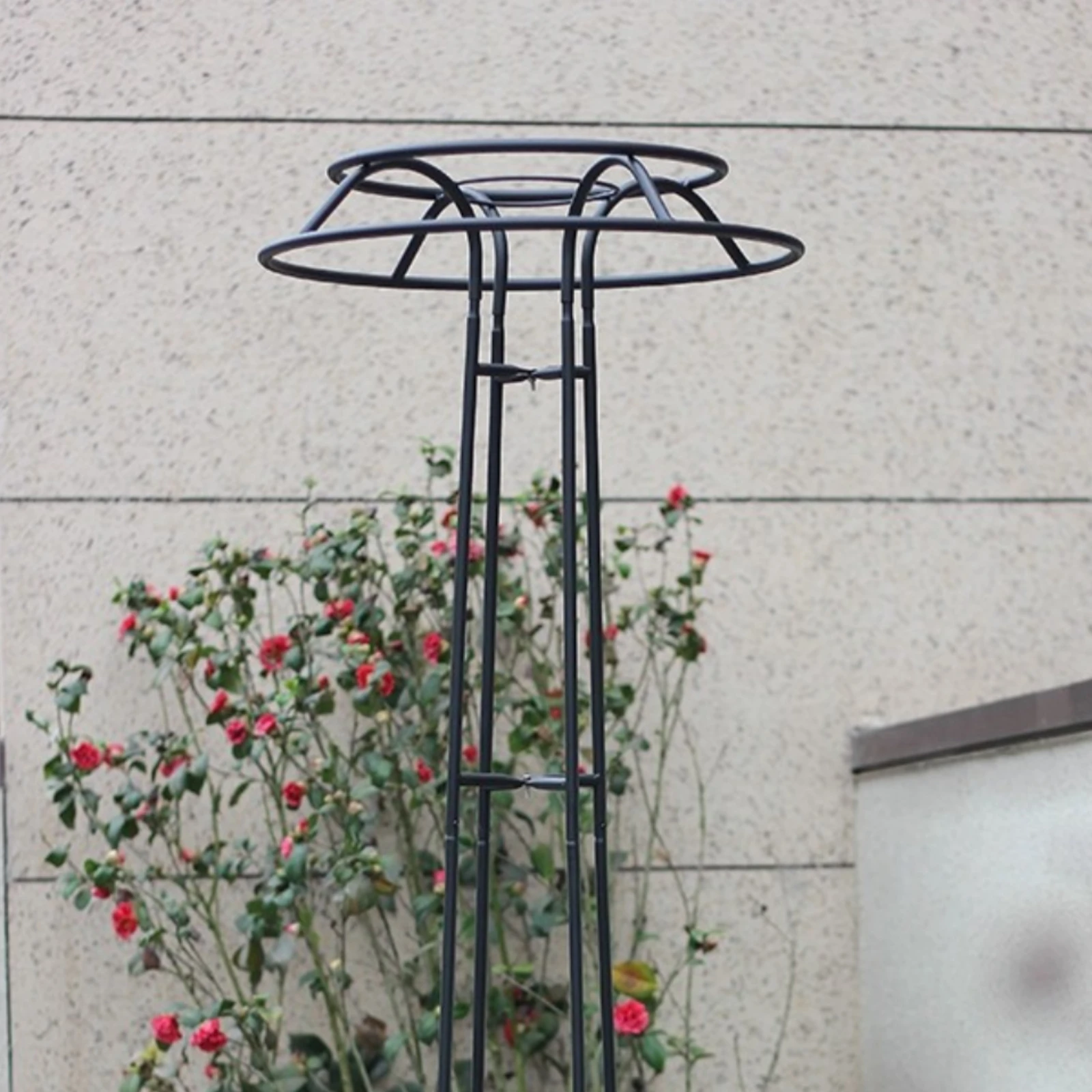 Cap-Topped Top Trellis Tall Metal Climbing Trellis Garden Structure Easy to Install Rust Resistant for Courtyard
Cap-Topped Top Trellis Tall Metal Climbing Trellis Garden Structure Easy to Install Rust Resistant for Courtyard