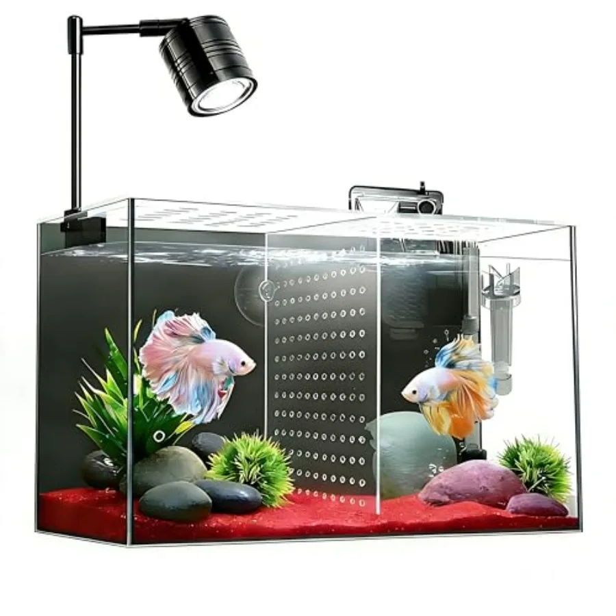 Fish Tank, 3 Gallon Ultra-Clear Glass Fish Aquarium, with Separator Plate for Betta, Fish Tank Starter kit with Filter and Led
Fish Tank, 3 Gallon Ultra-Clear Glass Fish Aquarium, with Separator Plate for Betta, Fish Tank Starter kit with Filter and Led