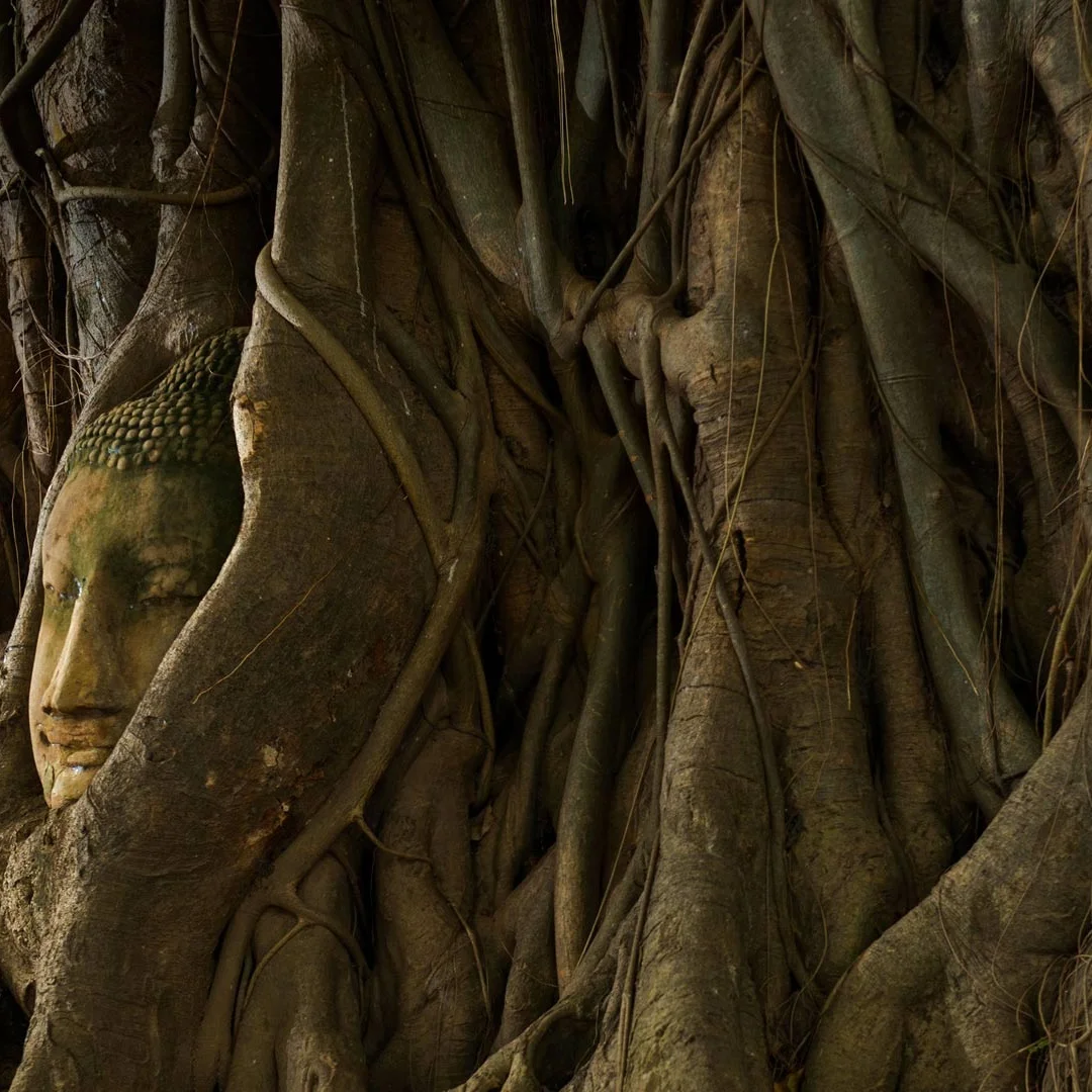 For Land Rover Discovery 5 2017-2021 Digital Cluster LCD Instrument Panel Virtual CockPit Speed Meter Dashboard Car Accessories