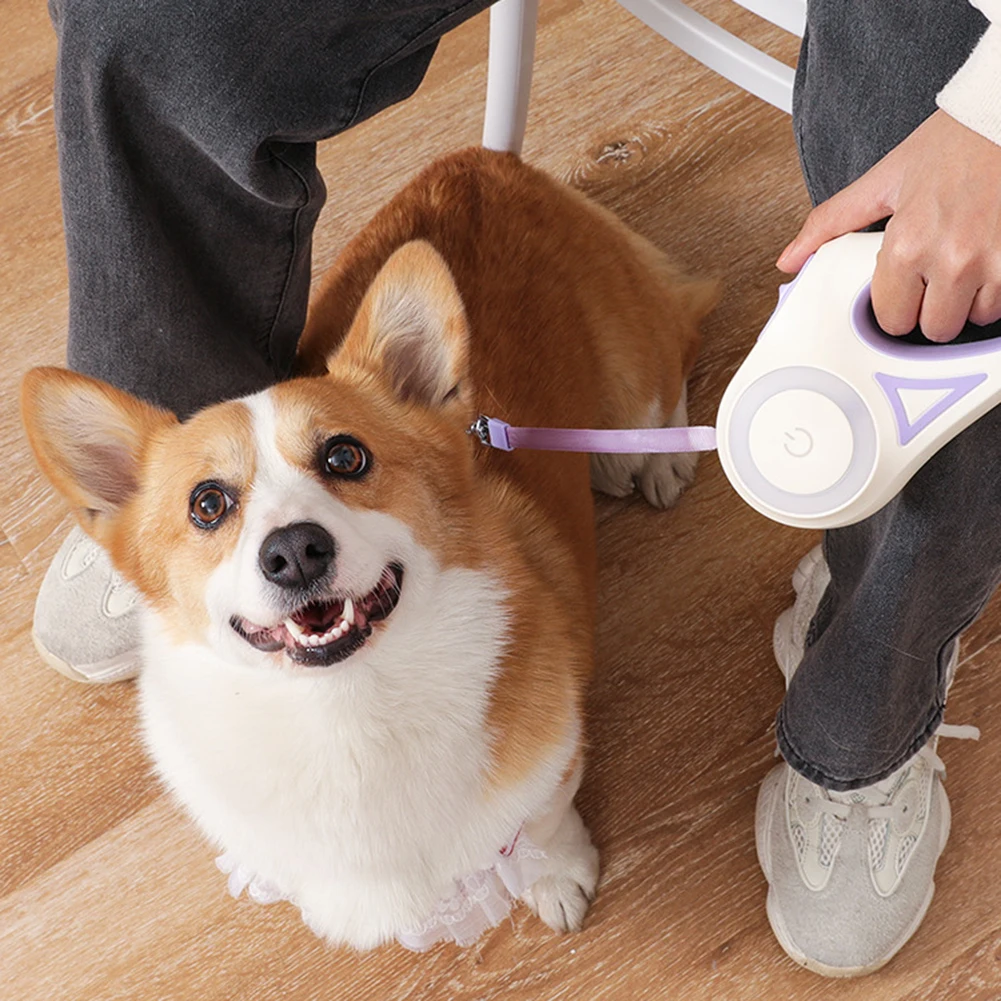 Automatic Retractable Dog Leash With LED Flash Light Portable Cat Dog Walk Running Leads Pet Accessories For Outdoor Walking
Automatic Retractable Dog Leash With LED Flash Light Portable Cat Dog Walk Running Leads Pet Accessories For Outdoor Walking
