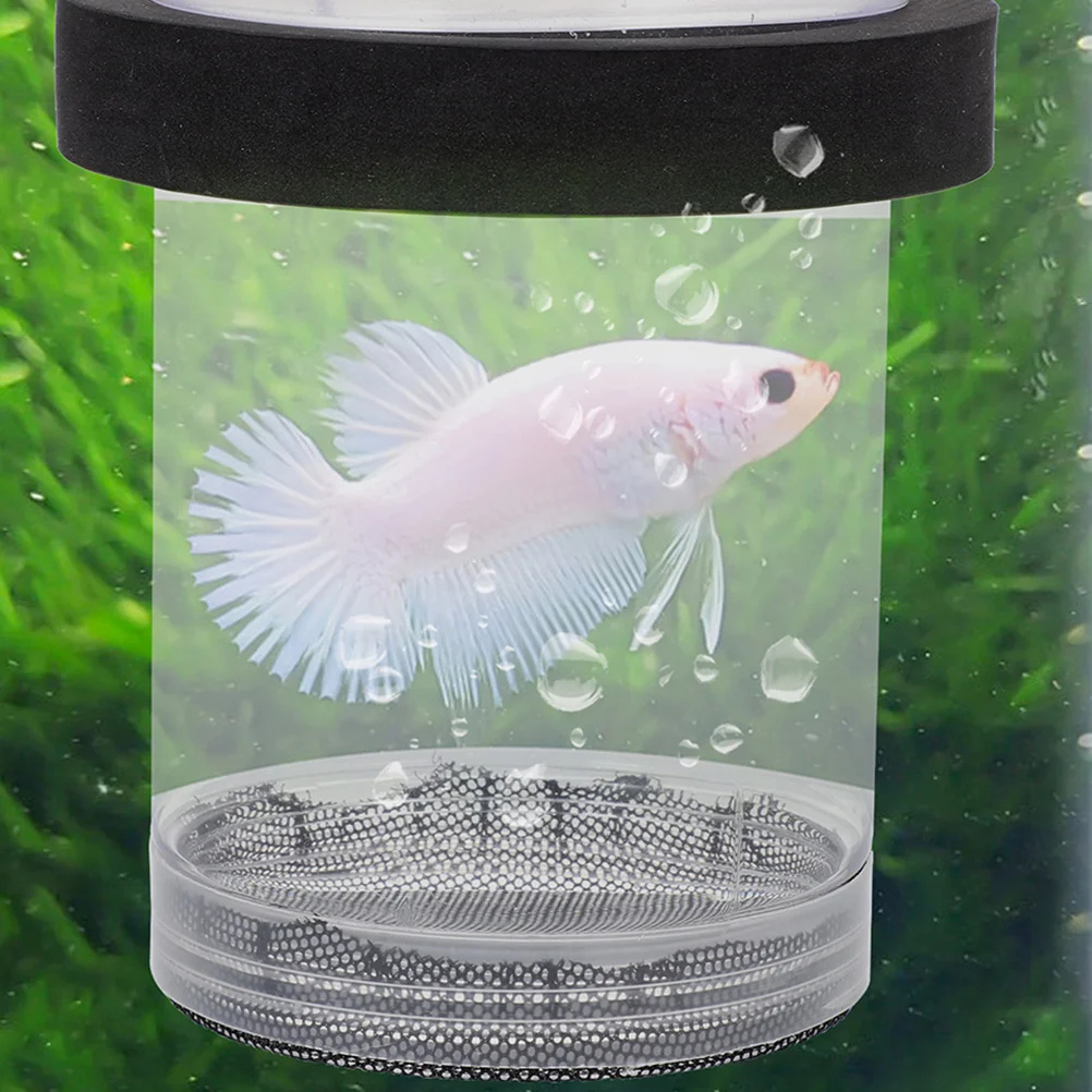 Aquarium Fish Breeding Box Transparent Cover Isolation Tank Hatchery Incubator Fry Protection Breeding Container Safe Fish
Aquarium Fish Breeding Box Transparent Cover Isolation Tank Hatchery Incubator Fry Protection Breeding Container Safe Fish