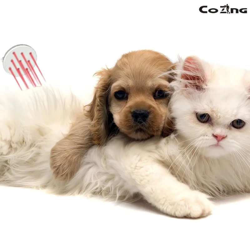 Low Level Laser Therapy LLLT Device for Muscle Recovery and Pain Management Portable USB Laser Applicator Pad
Low Level Laser Therapy LLLT Device for Muscle Recovery and Pain Management Portable USB Laser Applicator Pad