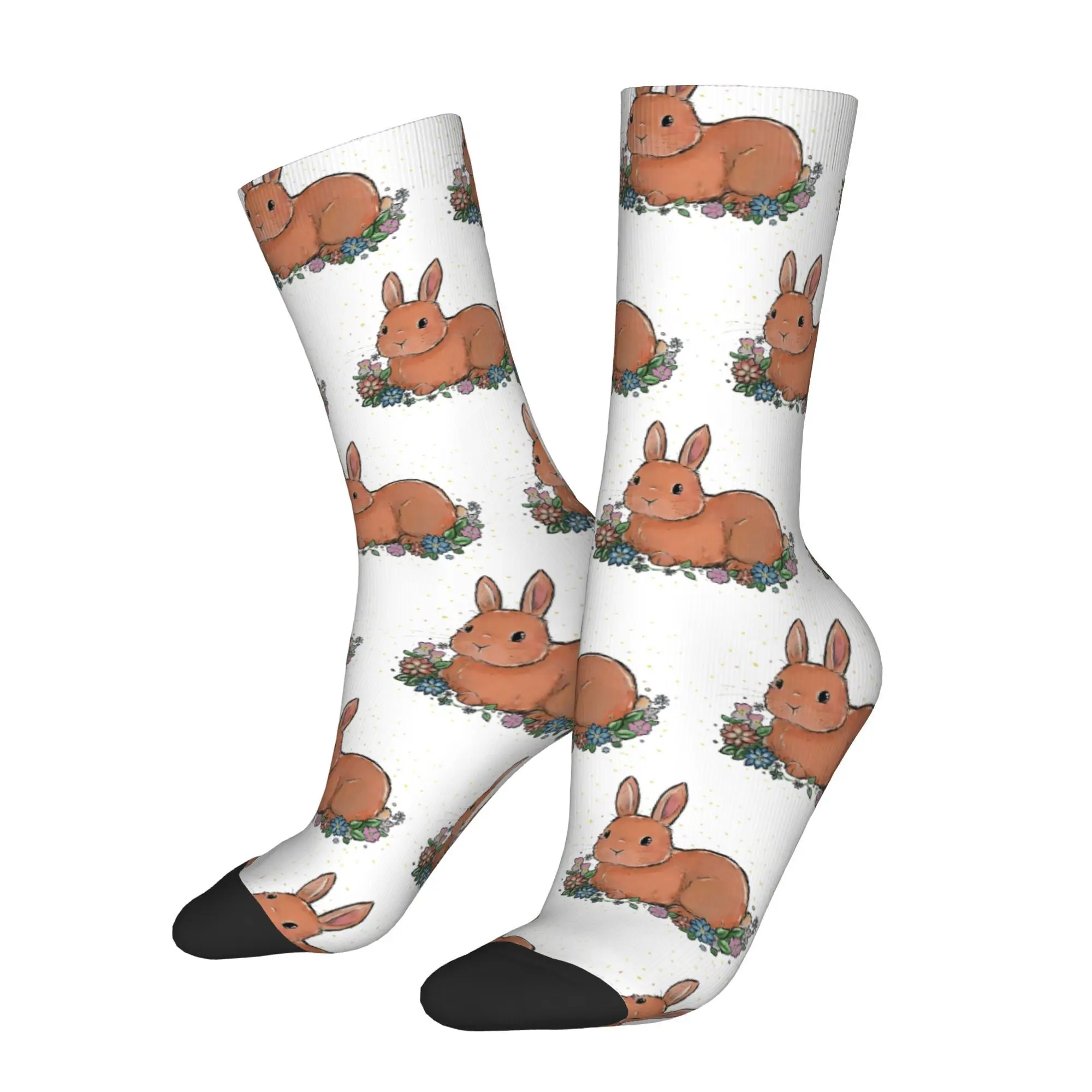 Interesting cartoon animals Novel casual and interesting cartoon casual socks sports socks
Interesting cartoon animals Novel casual and interesting cartoon casual socks sports socks
