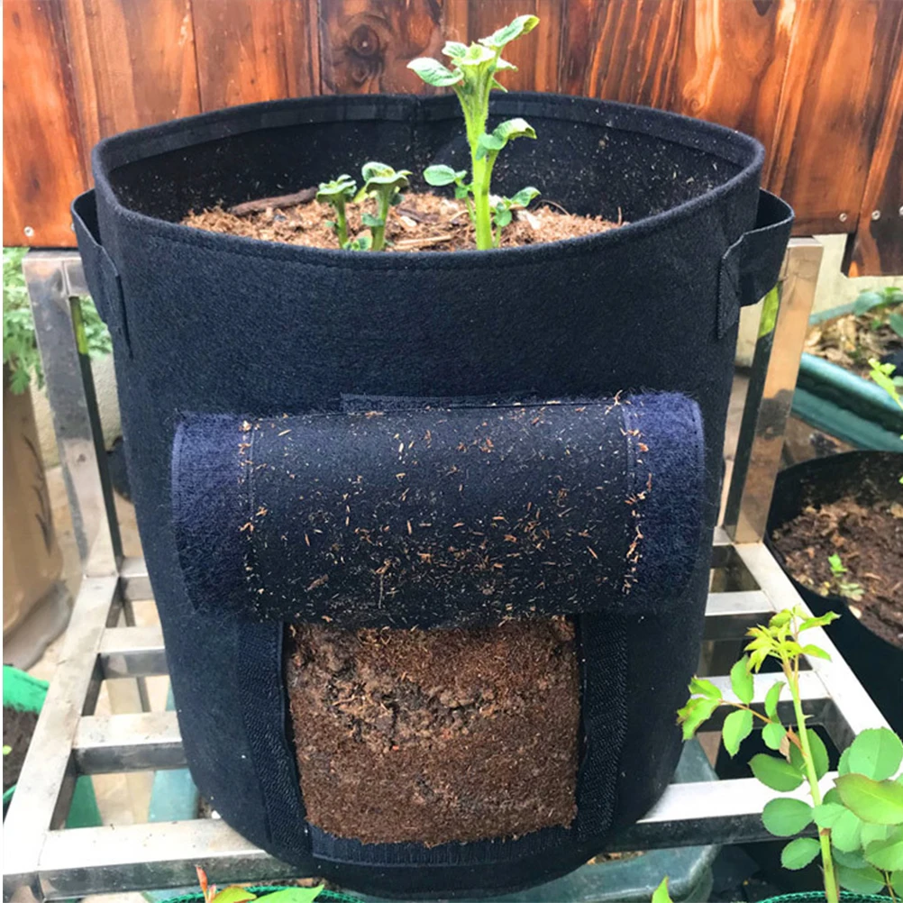 5pcs Plant Growing Bag Sweet Potato Planting Bag Durable Non Woven Fabric Waterproof Breathable Garden Pouch Sturdy Handle
5pcs Plant Growing Bag Sweet Potato Planting Bag Durable Non Woven Fabric Waterproof Breathable Garden Pouch Sturdy Handle