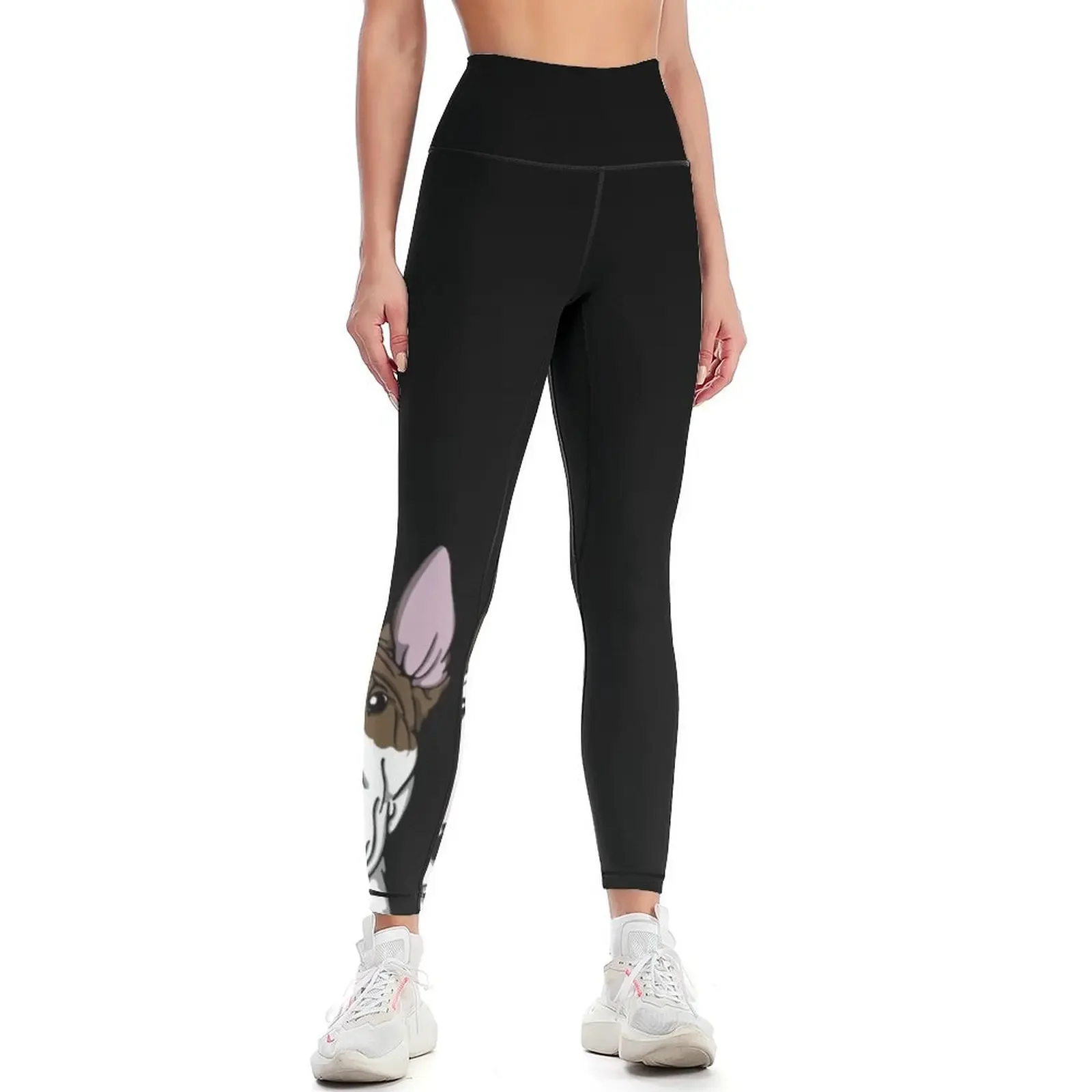 Lola Bull Terrier Friend Of Freddie Leggings gym's clothing for girls gym sportswear woman gym womans Womens Leggings
Lola Bull Terrier Friend Of Freddie Leggings gym's clothing for girls gym sportswear woman gym womans Womens Leggings