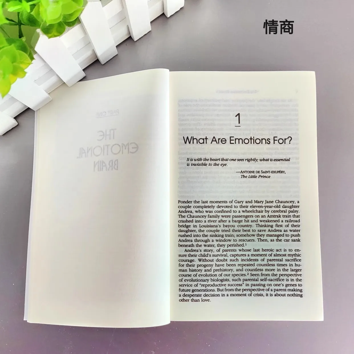 Emotional Intelligence why it can matter more than iQ Paperback English Book
Emotional Intelligence why it can matter more than iQ Paperback English Book