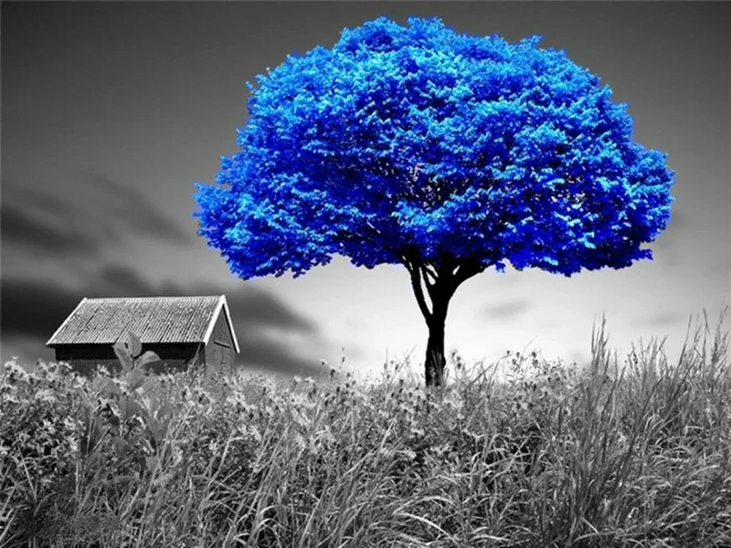Blue trees black white Decor Nature ,Art Picture Print Silk Poster ,Home Wall Decor
Blue trees black white Decor Nature ,Art Picture Print Silk Poster ,Home Wall Decor