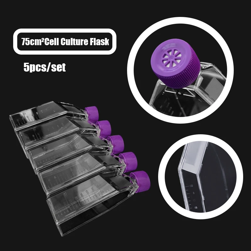 75cm² Cell Culture Flask 5-Pack, Filter Cap Sterile Non-pyrogenic EVA Material Lab Experiments
75cm² Cell Culture Flask 5-Pack, Filter Cap Sterile Non-pyrogenic EVA Material Lab Experiments