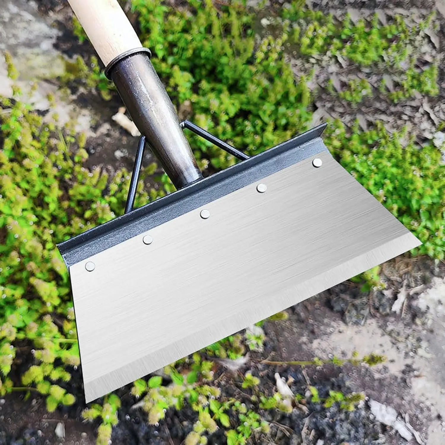 Top Quality 10 Inch Efficient Heavy Duty Multifunctional Gardenscraper with Long Handle for Digging Edging Lawns and Garden Clea
Top Quality 10 Inch Efficient Heavy Duty Multifunctional Gardenscraper with Long Handle for Digging Edging Lawns and Garden Clea