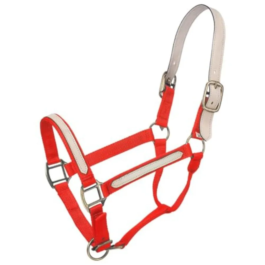 Tough1 Nylon Breakaway Halter
Tough1 Nylon Breakaway Halter